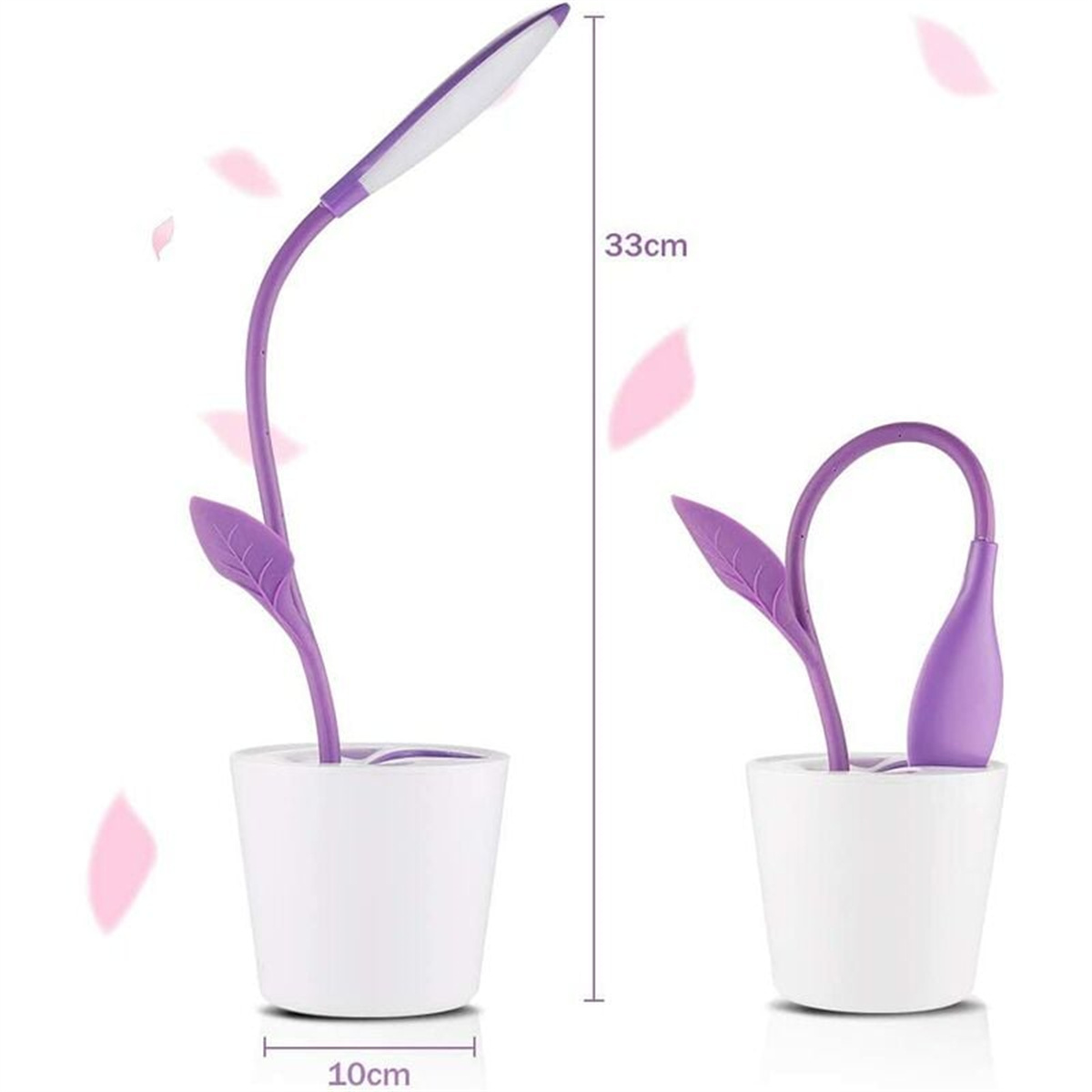 Lila Schreibtischlampe in einem weißen Topf mit Blättern. Rosa Blütenblätter im Hintergrund. Weißer Hintergrund.