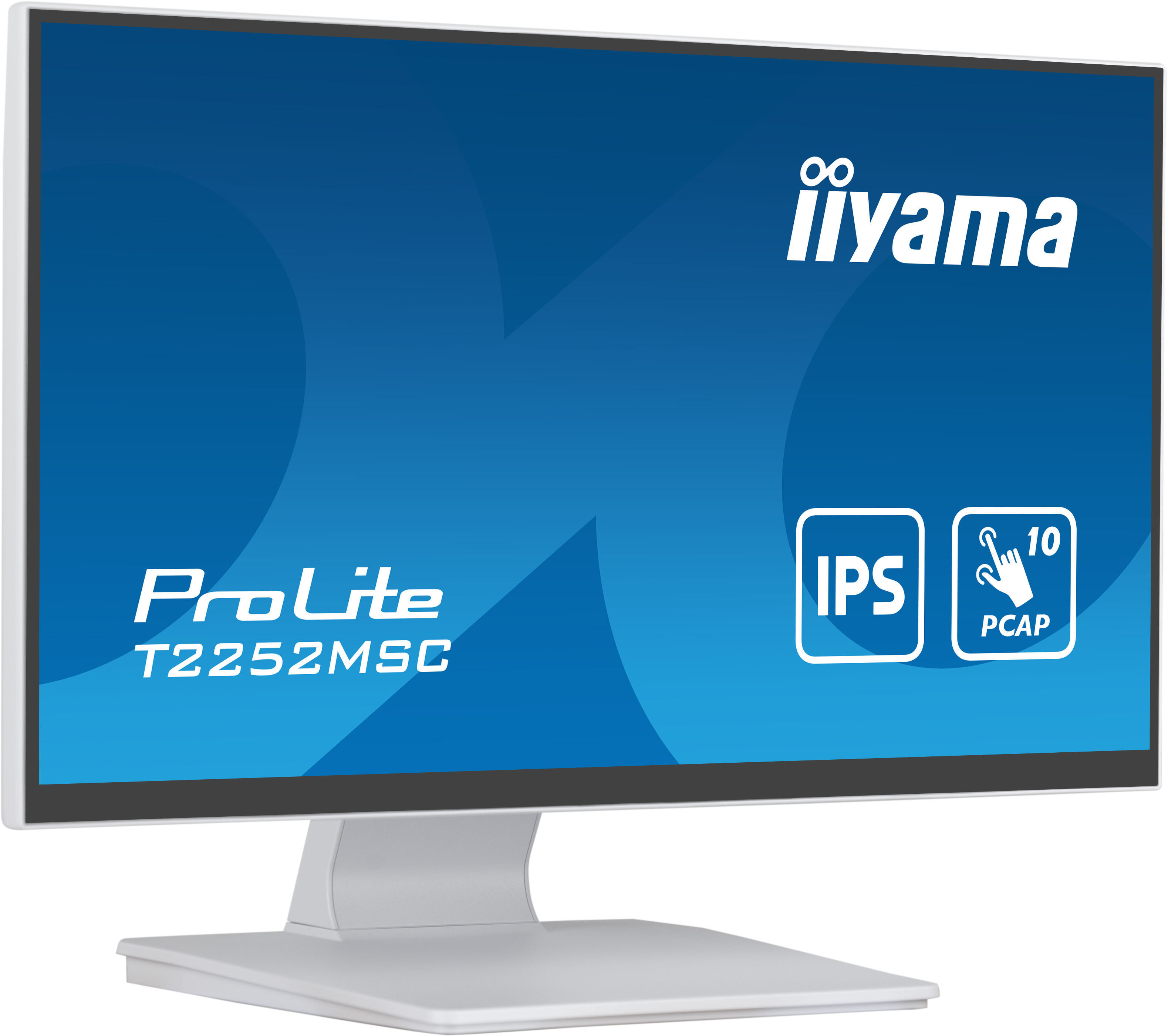 Un monitor Iiyama ProLite bianco e argento che mostra uno schermo blu-bianco e testo.