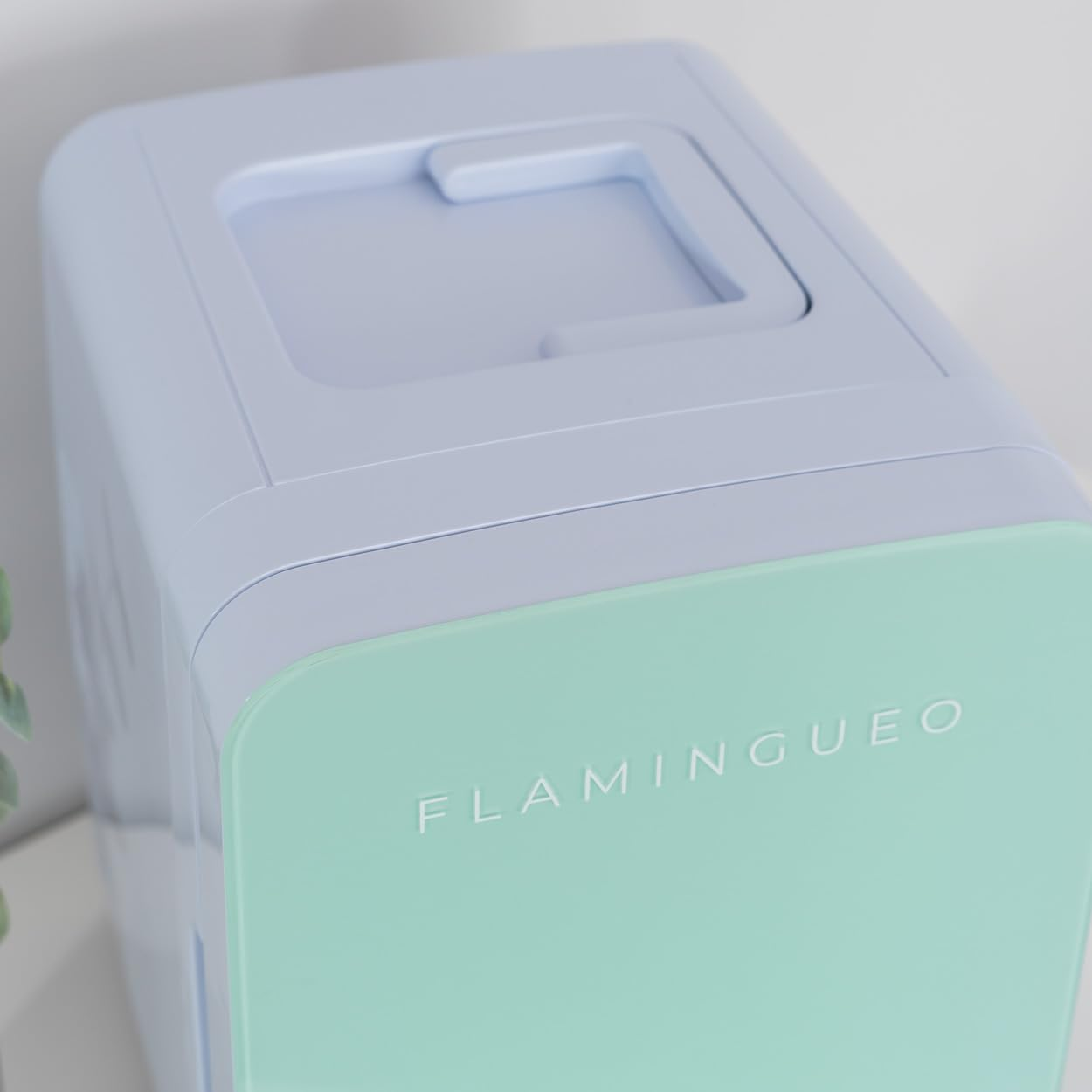 Primer plano de la parte superior de una mininevera, puerta verde menta con 'FLAMINGUEO' blanco.