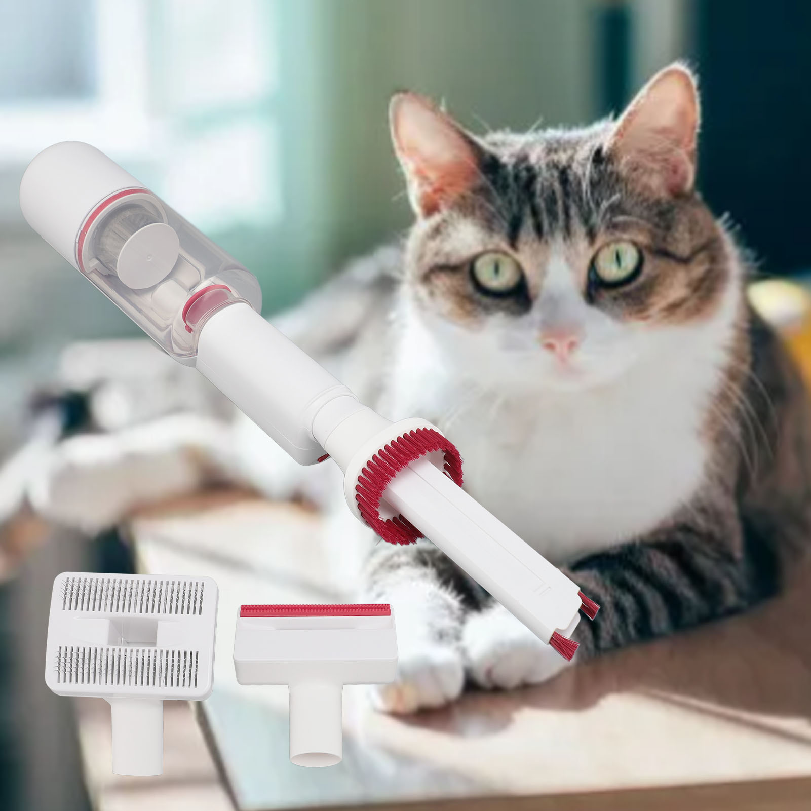 Katze, die mit einem Tierhaarsauger gepflegt wird. Zwei zusätzliche Aufsätze sichtbar.