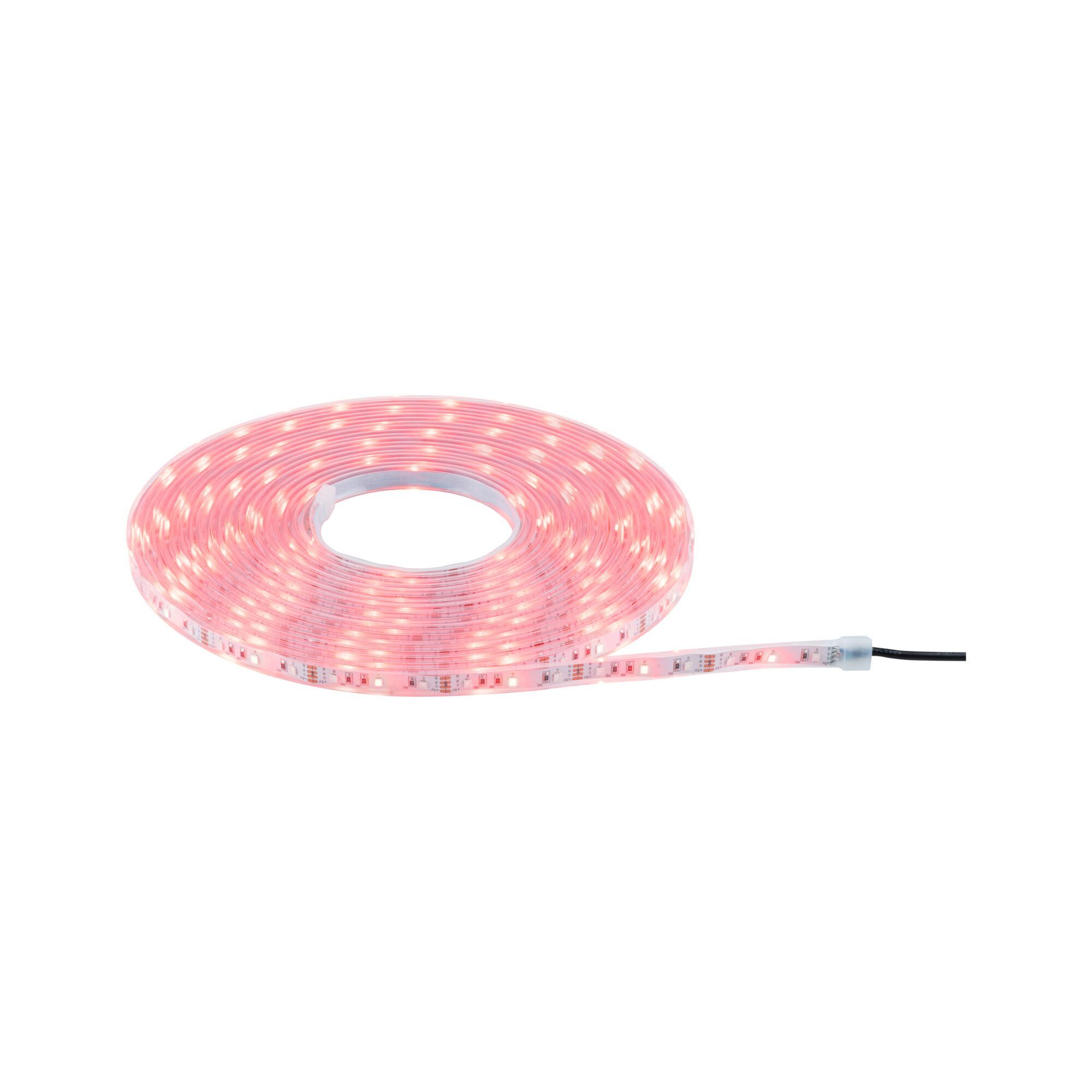 Aufgerollte LED-Streifen. Rosa Lichter sichtbar, Streifen auf weißem Hintergrund.