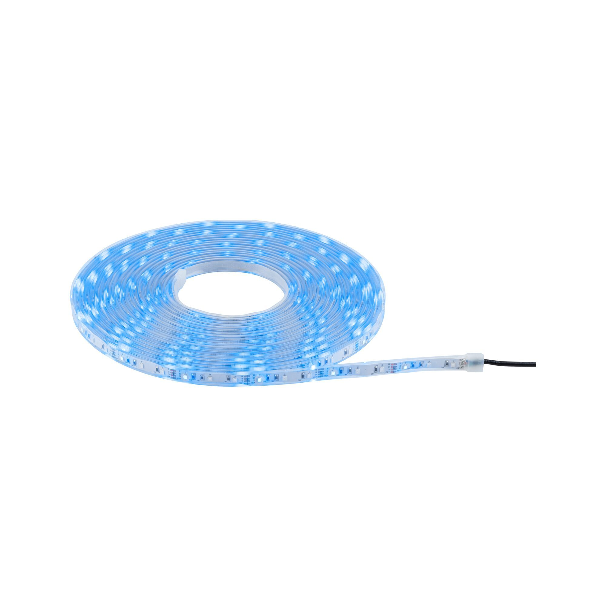 Aufgerollter Streifen blauer LED-Leuchten auf weißer Oberfläche. Ein schwarzer Draht geht ab.