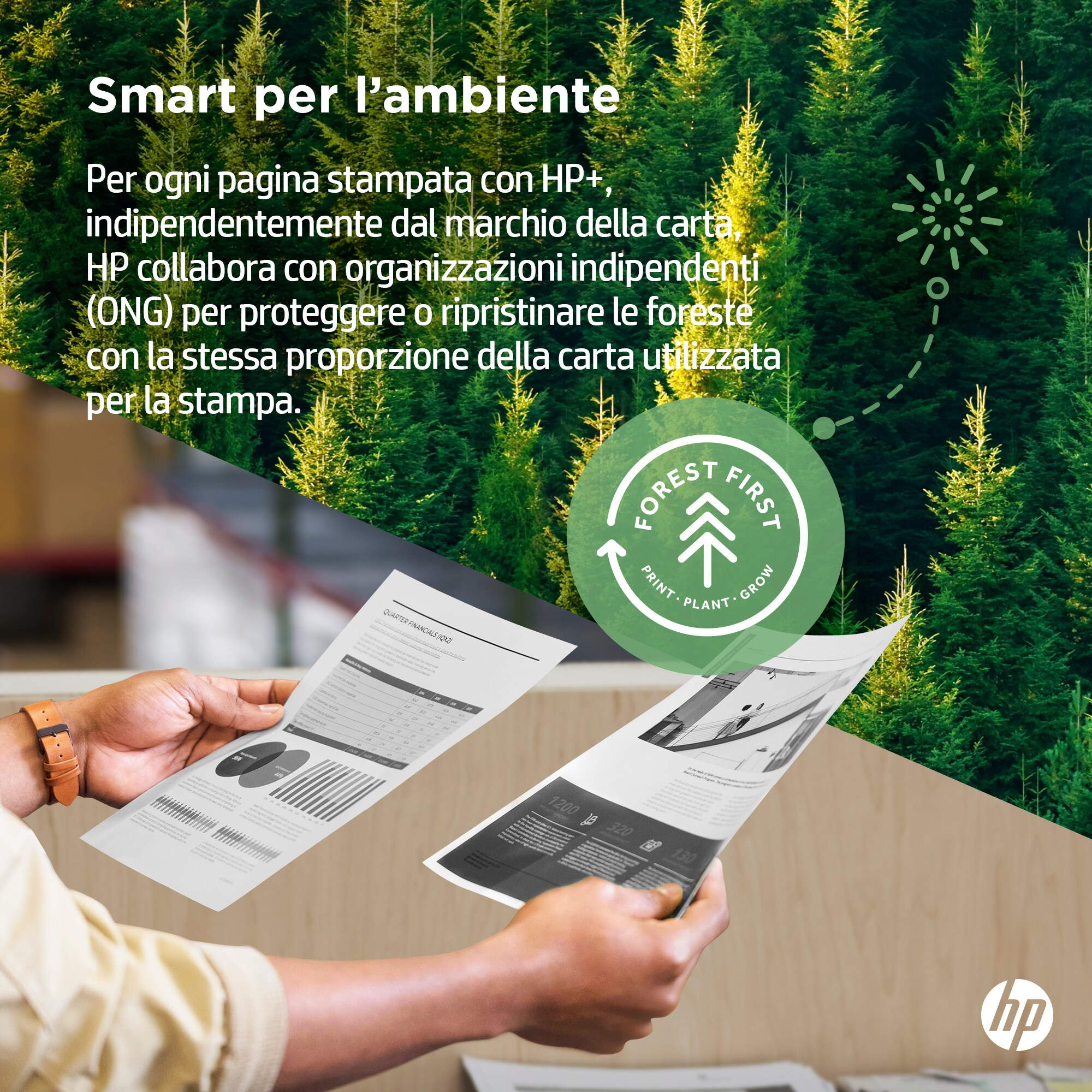 Mani che tengono carte stampate con grafici, un cerchio verde con testo e alberi sullo sfondo.