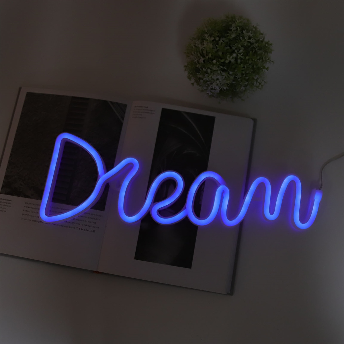 Ein neonblaues "Dream"-Schild auf einem Buch mit einer kleinen grünen Pflanze.