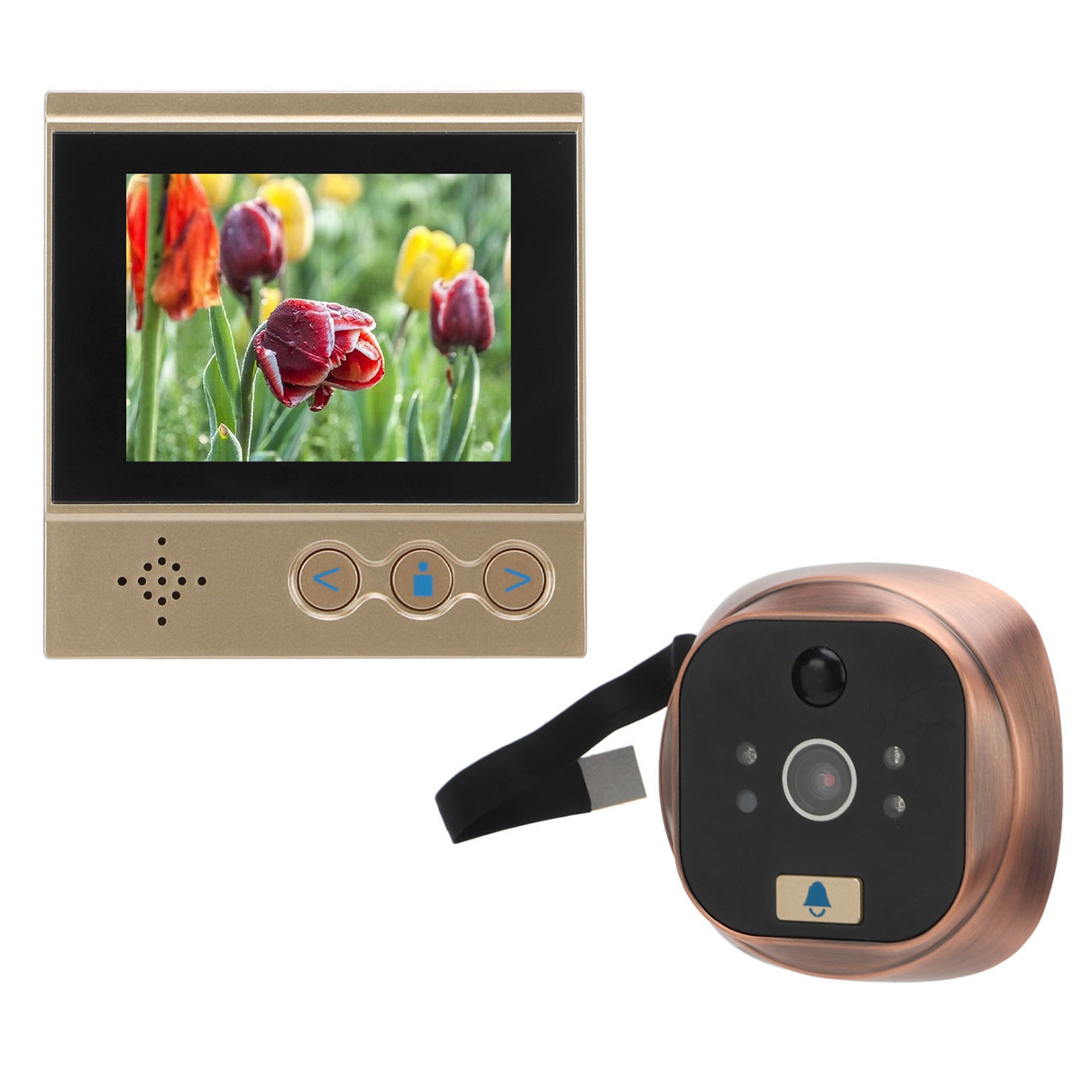 Türklingelkamera und Monitor. Monitor zeigt eine Gartenszene. Die Kamera ist bronzefarben.