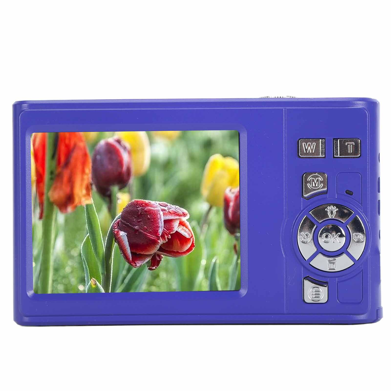 Blaue Digitalkamera, die ein Blumenbild auf ihrem Bildschirm zeigt. Knöpfe sichtbar.