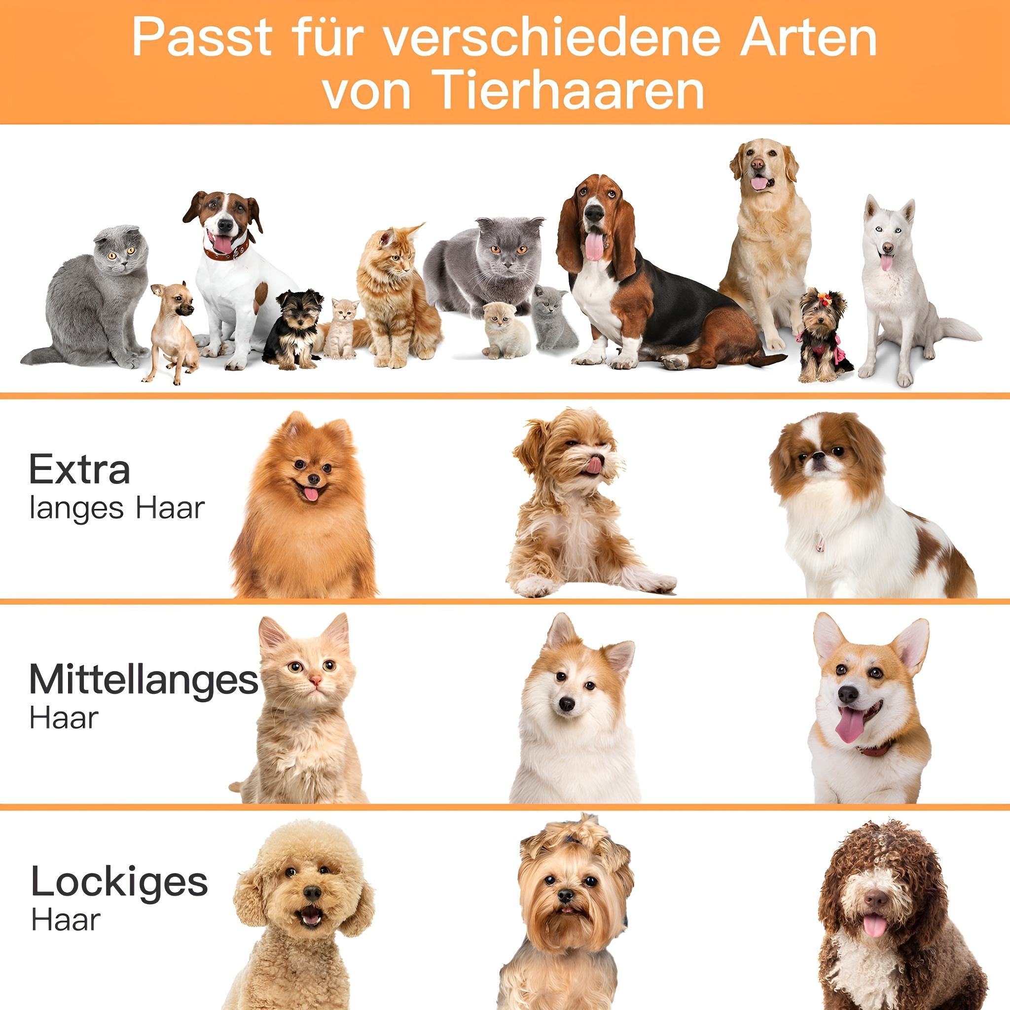 Bilder verschiedener Hunde- und Katzenrassen mit Beschriftungen zur Haarart.