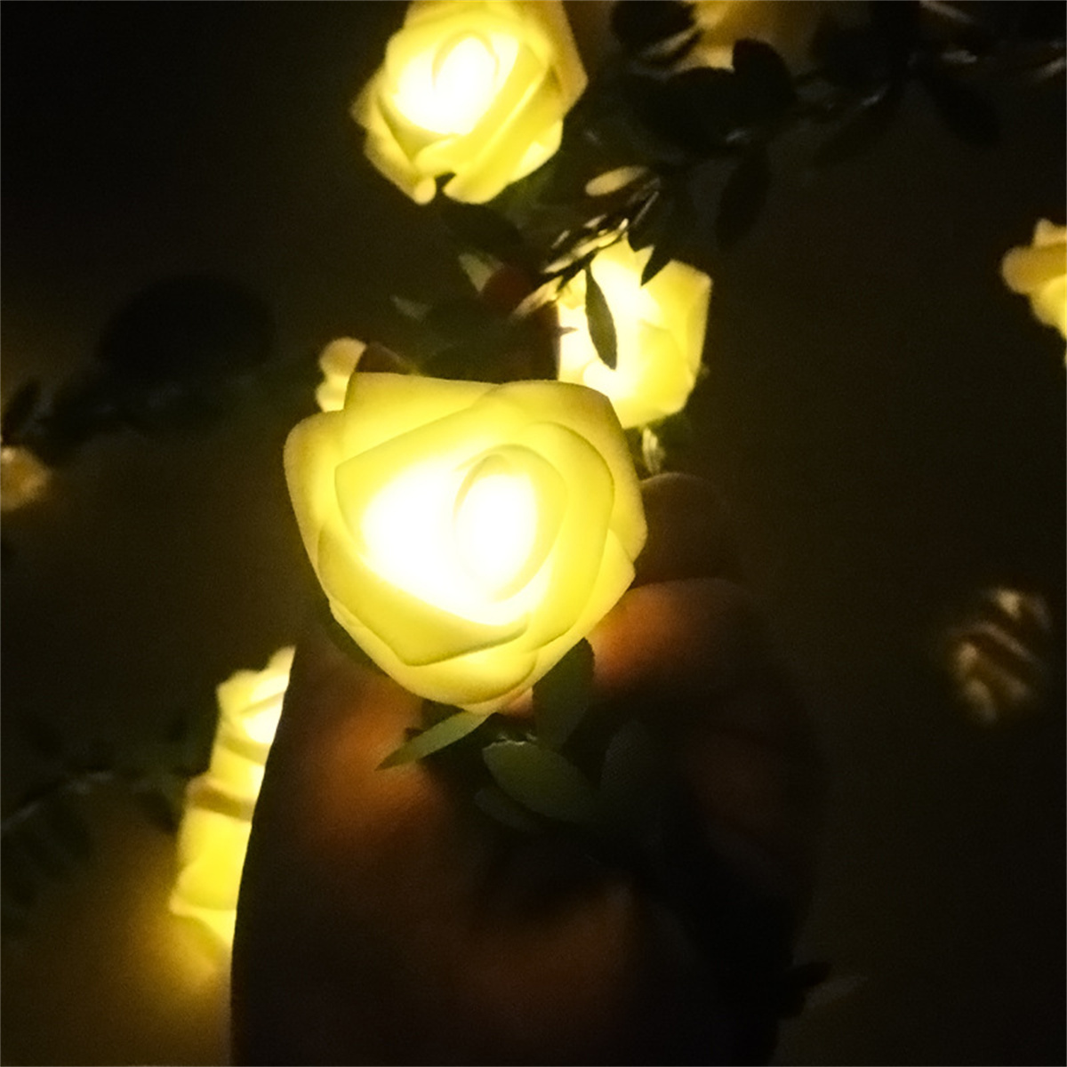 Leuchtende gelbe Rosenlichter, grüne Blätter, dunkler Hintergrund.
