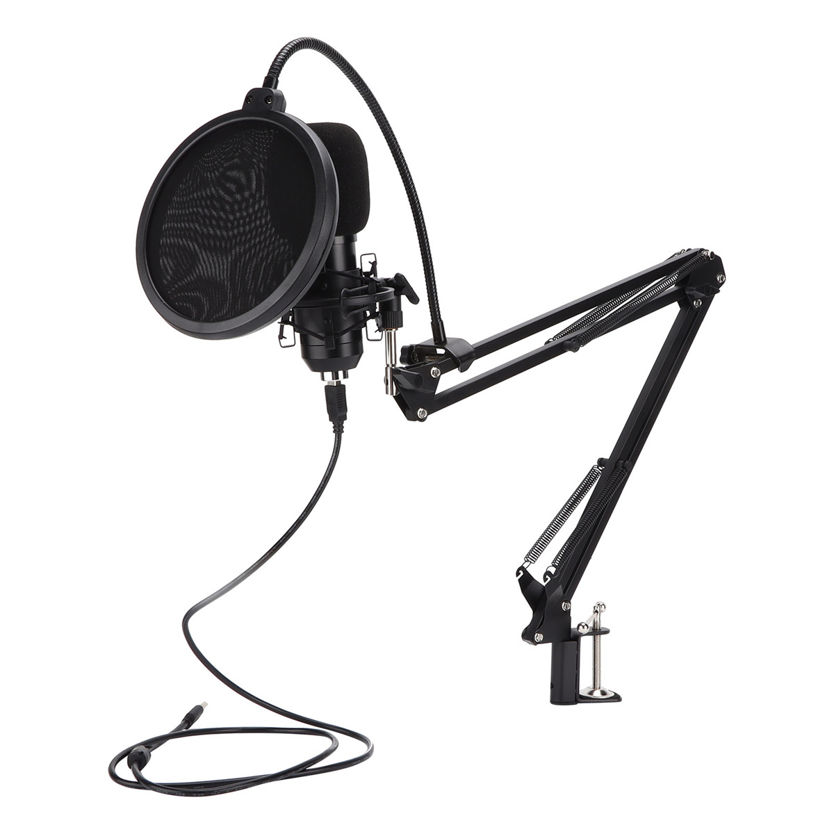 Professionelles Mikrofon mit Pop-Filter und Ausleger. Ein Kabel verbindet sich mit der Basis.