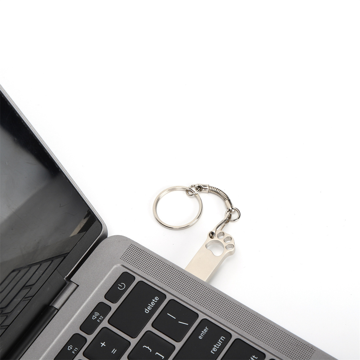 Ein silberner USB-Stick mit Pfotenabdruck, der an einen Laptop angeschlossen ist. Weißer Hintergrund.