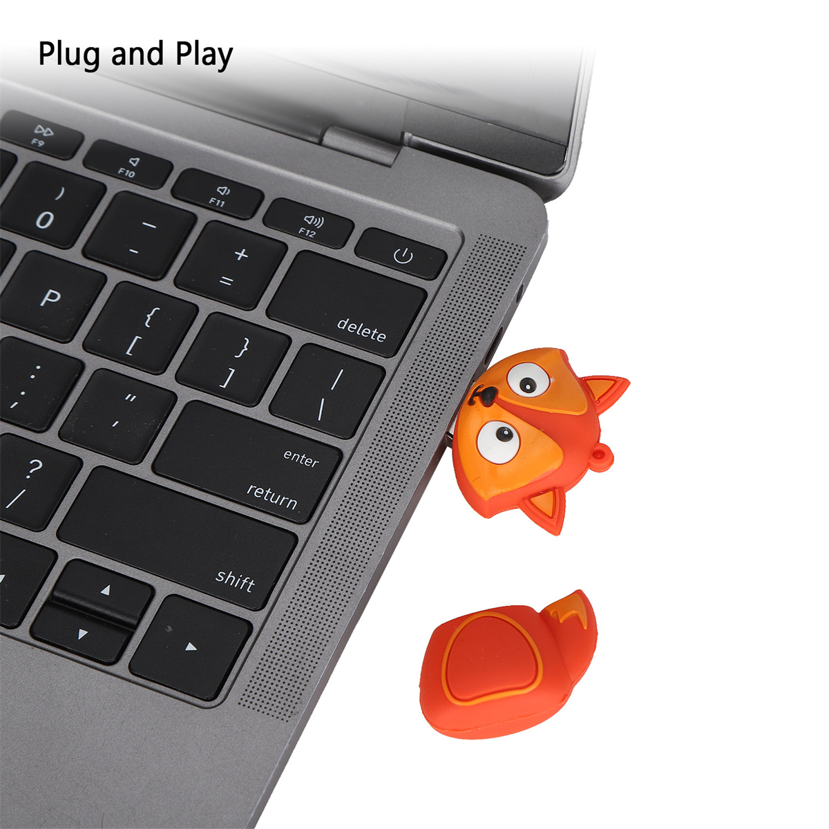 Ein USB-Stick in Fuchsform ist an einen Laptop angeschlossen. Die Worte 'Plug and Play' stehen darüber.