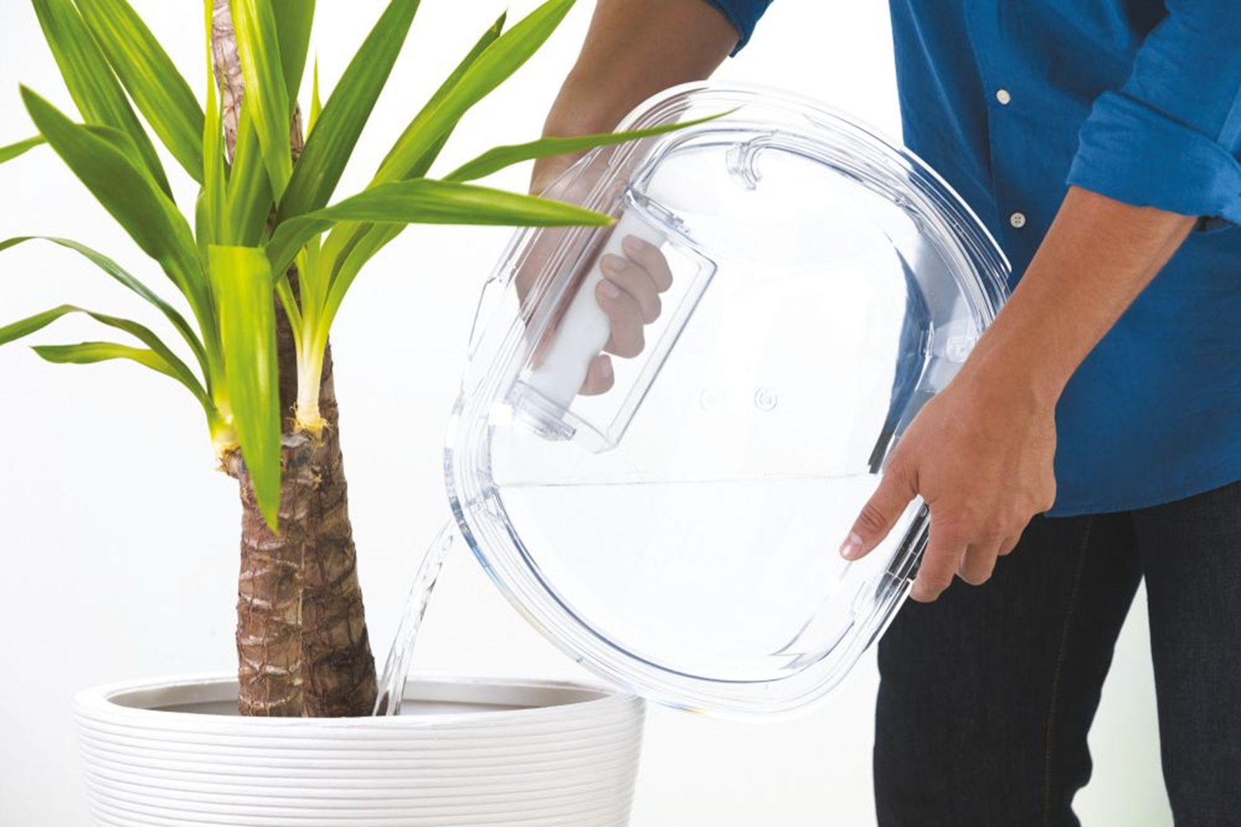 Una persona innaffia una pianta. Sta versando acqua da una brocca trasparente in un vaso bianco.