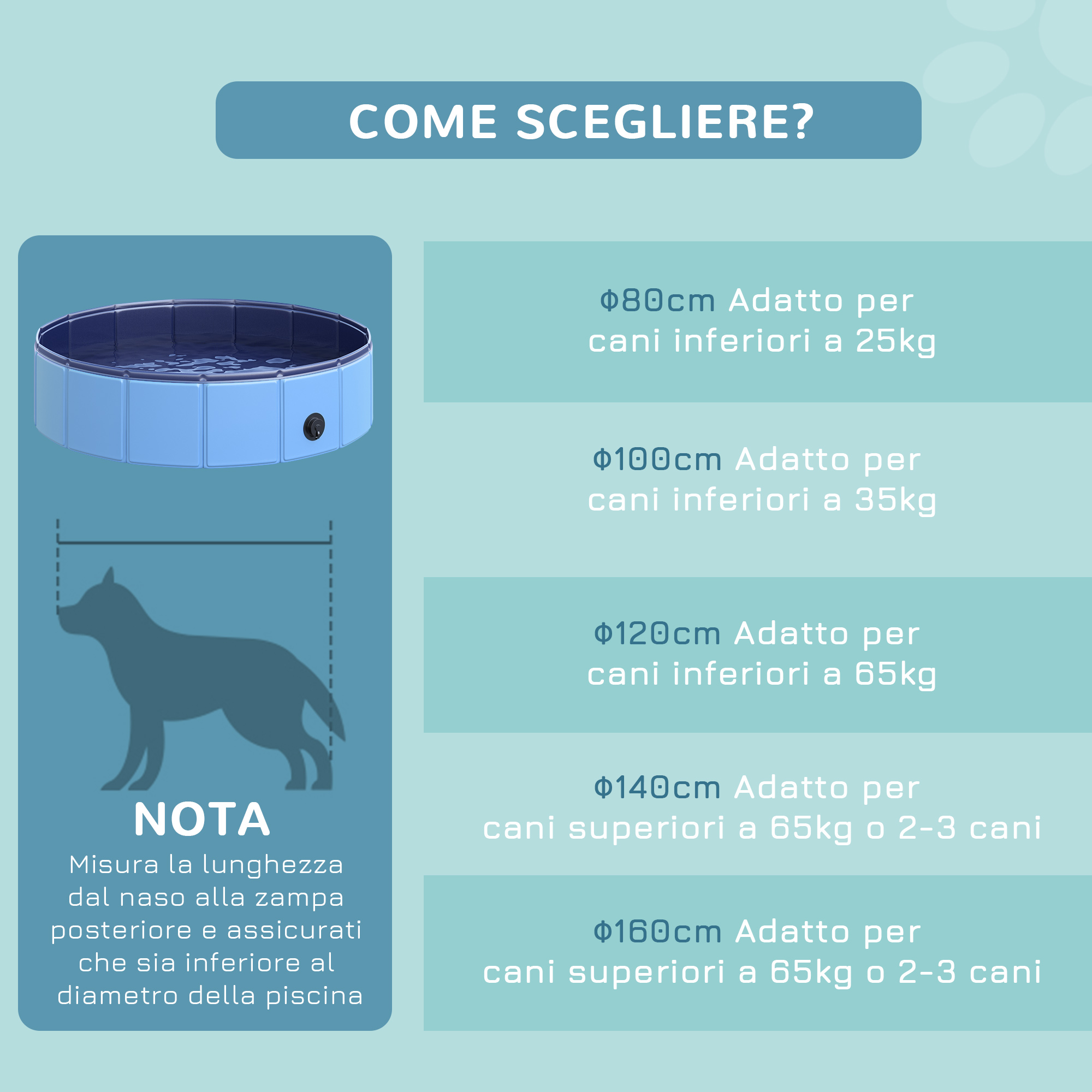 Diagramma mostra la taglia del cane per varie piscine. Informazioni sulla taglia in italiano.