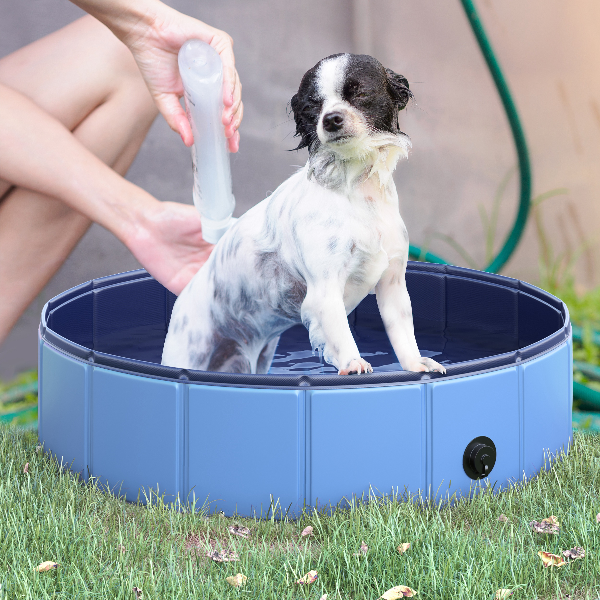 Cane in una piscina blu lavato da una persona con una bottiglia d'acqua. Erba verde intorno.