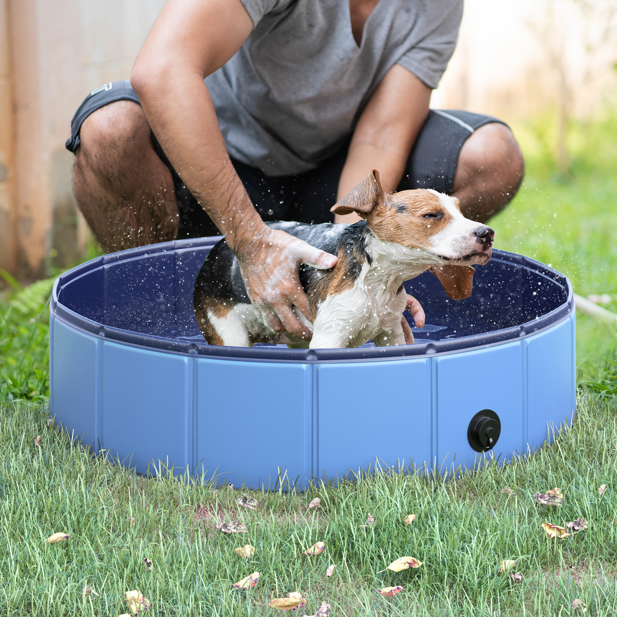 Una persona lava un beagle in una piscina blu per cani sull'erba. Il cane è bagnato.