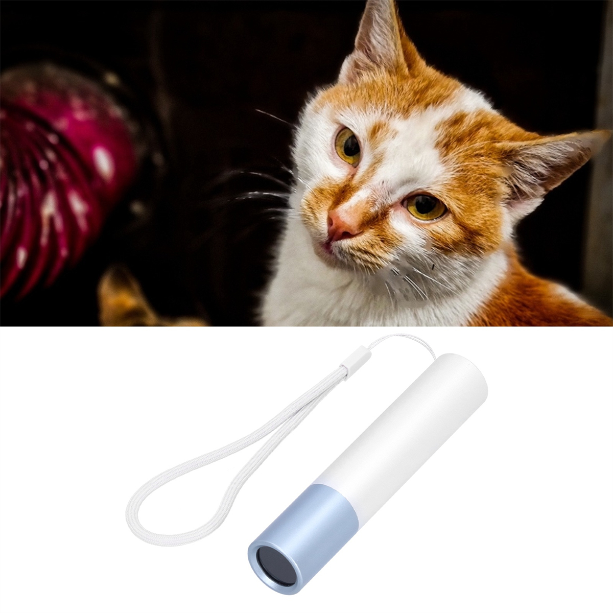 Eine Katze mit orange-weißem Fell blickt in die Kamera. Im Hintergrund ist ein kleines weiß-blaues Licht zu sehen.