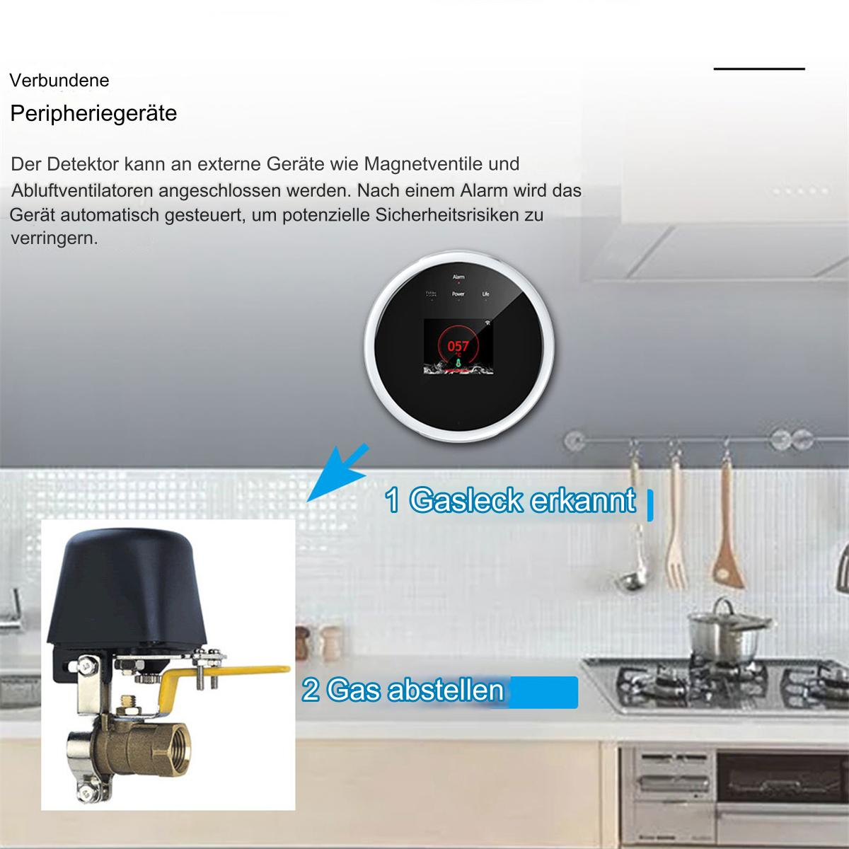 Diagramm, das die Gasleckerkennung und das Absperren von Gas zeigt, mit Detektor und Ventil.