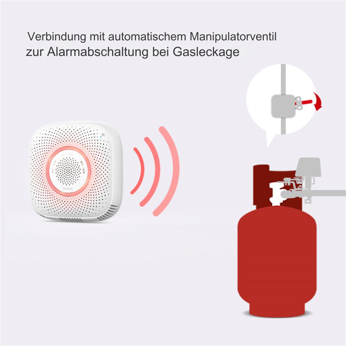 Ein weißer Gasleckdetektor mit roten Wellensymbolen, verbunden mit einem Gastank, Text auf Deutsch.