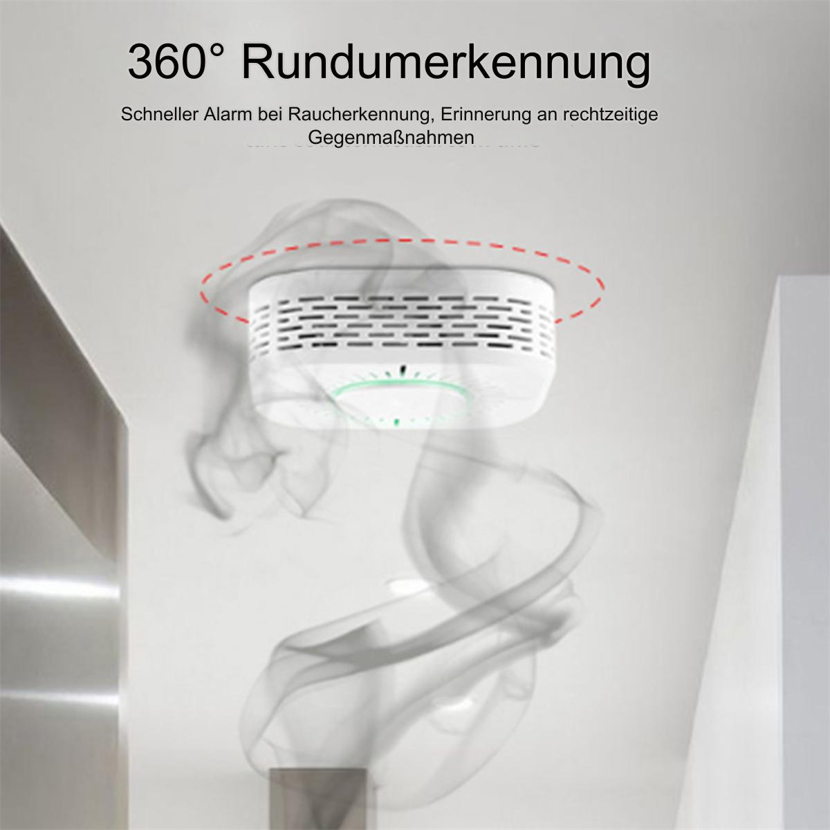 Rauchmelder an der Decke mit deutschem Text und Raucheffekt.