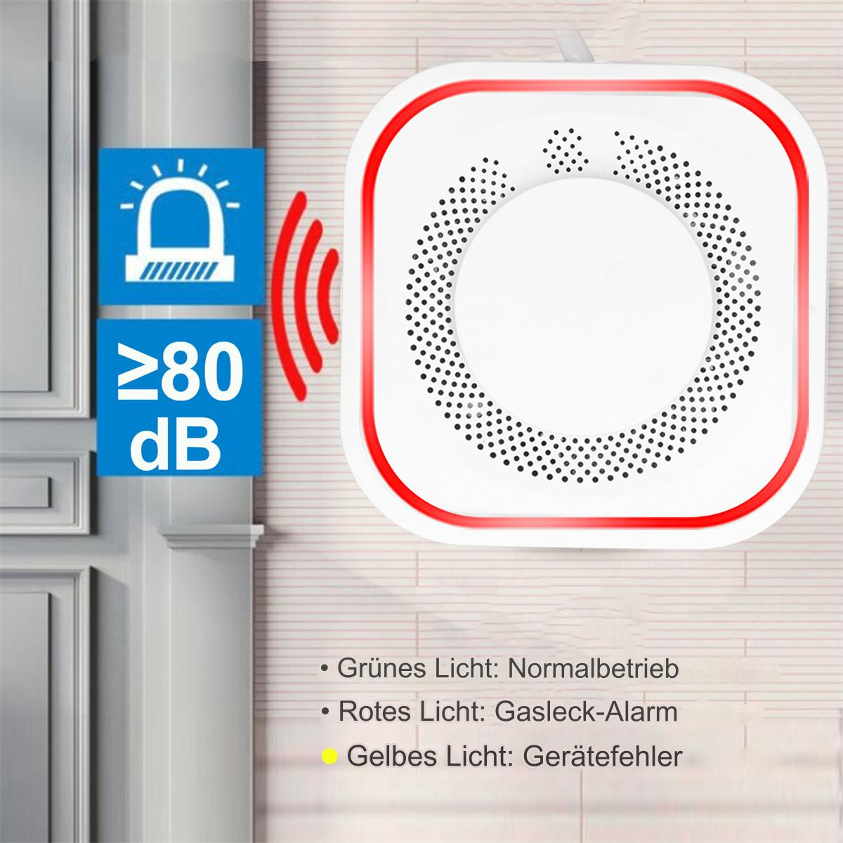 Weißer Gasleckdetektor mit rotem Rand und Text. Türhintergrund.