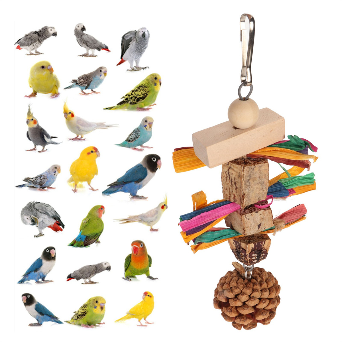 Bunte Papageien und ein Holzspielzeug für Vögel mit Pinienzapfen.