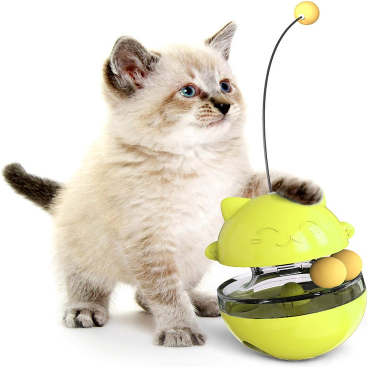 Ein Kätzchen spielt mit einem grünen Katzenspielzeug mit zwei gelben Bällen. Es hat einen Ball an einem flexiblen Arm.