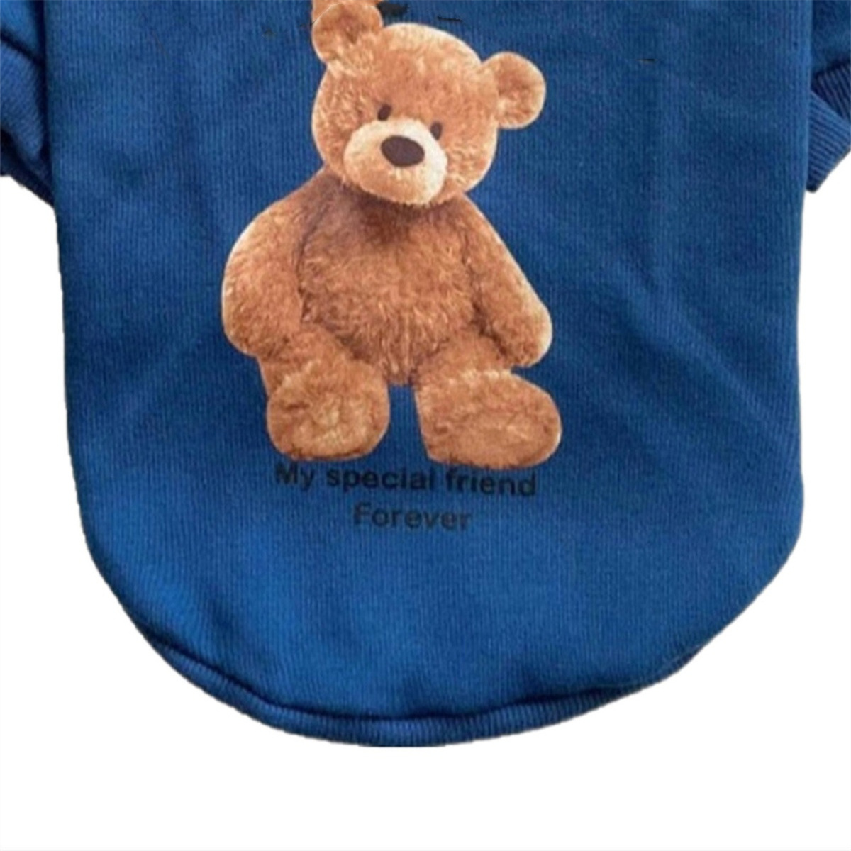 Blaues Hundeshirt mit braunem Teddybär-Grafik und dem Text 'My special friend'.