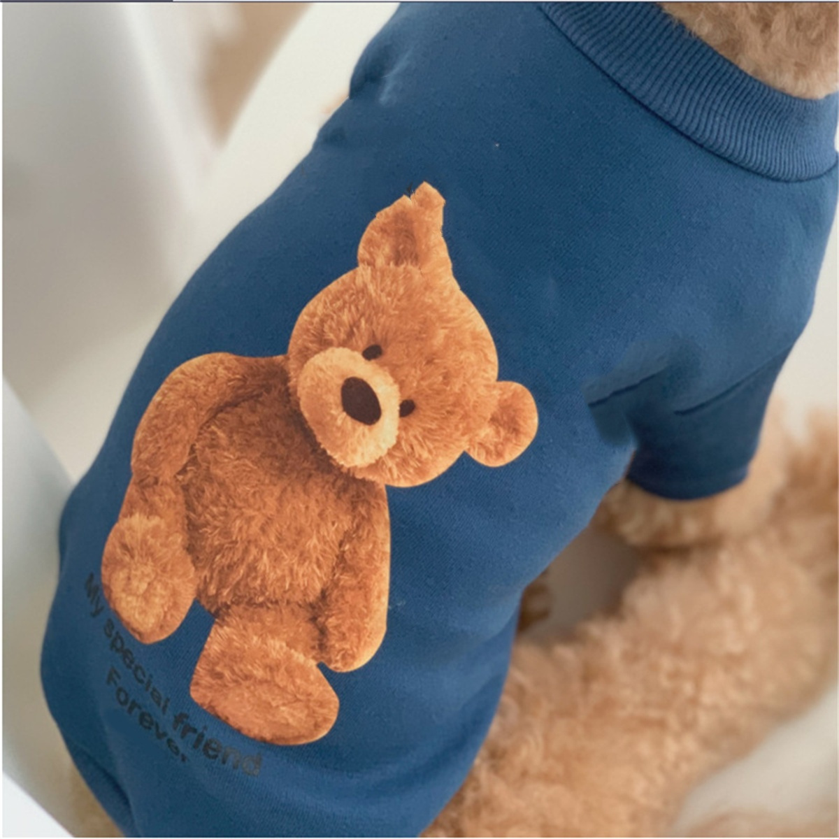 Blaues Hundehemd mit braunem Teddybär-Aufdruck und Text, von oben gesehen.