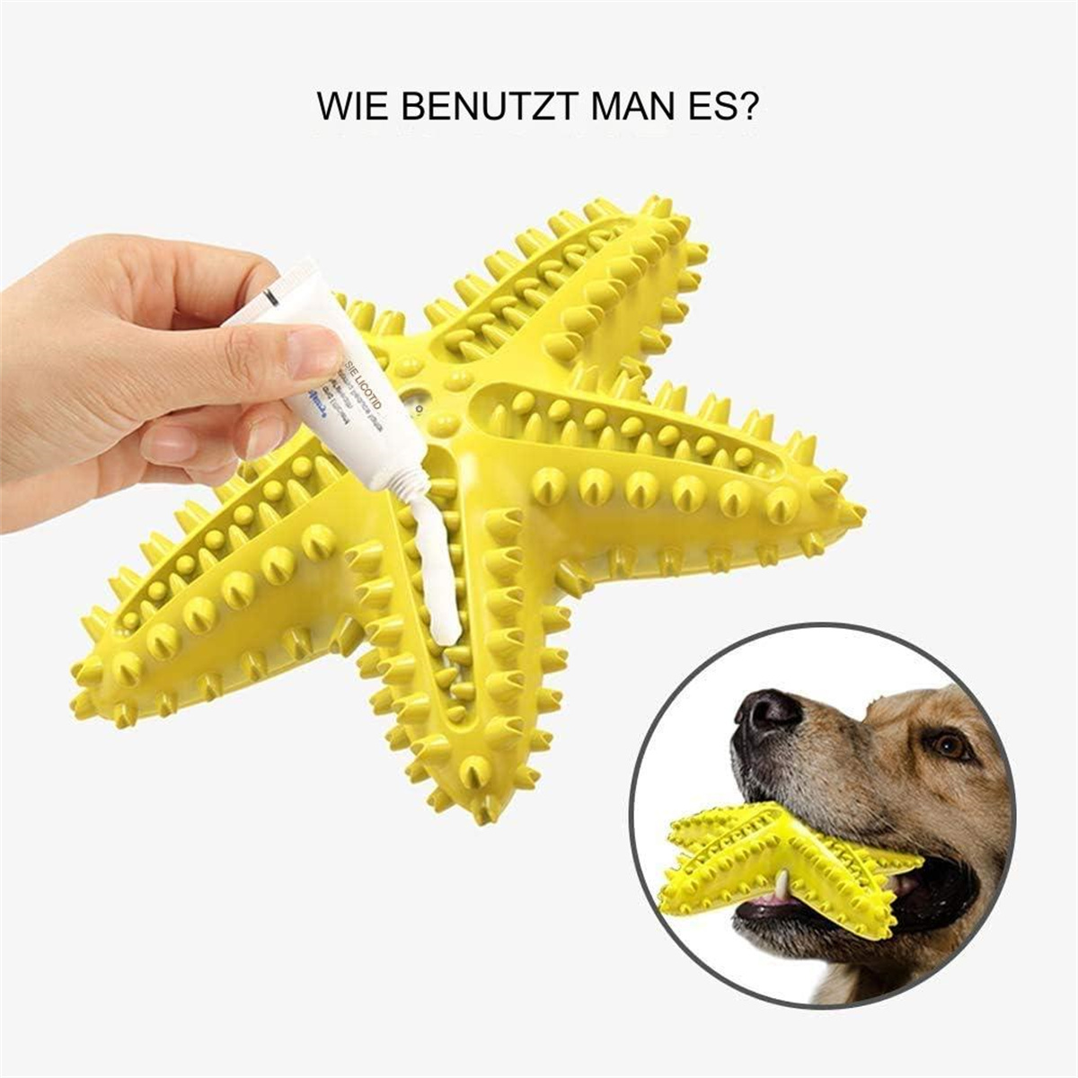 Eine Hand, die Zahnpasta auf ein gelbes sternförmiges Hundespielzeug drückt, und ein Hund, der es kaut.