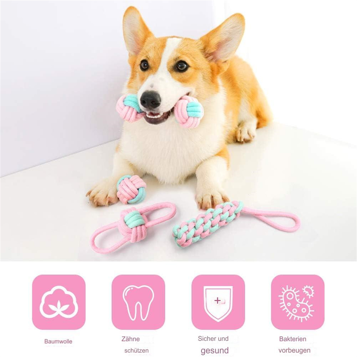 Ein Corgi hält ein Spielzeug im Maul. Andere Spielsachen sind vorne. Symbole für Baumwolle, Zähne, Gesundheit und Bakterien.