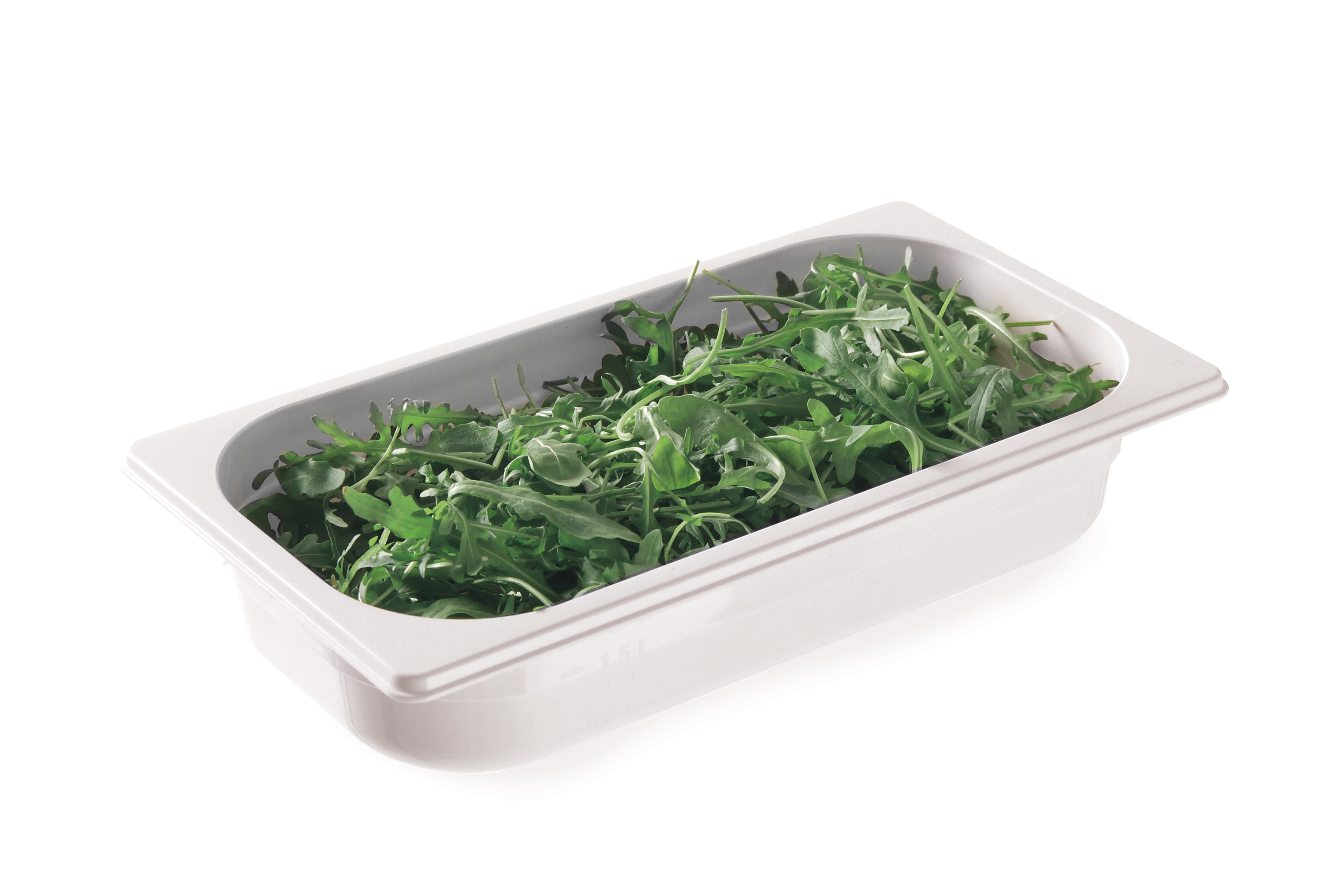 Un contenitore rettangolare bianco pieno di rucola. Lo sfondo è bianco.