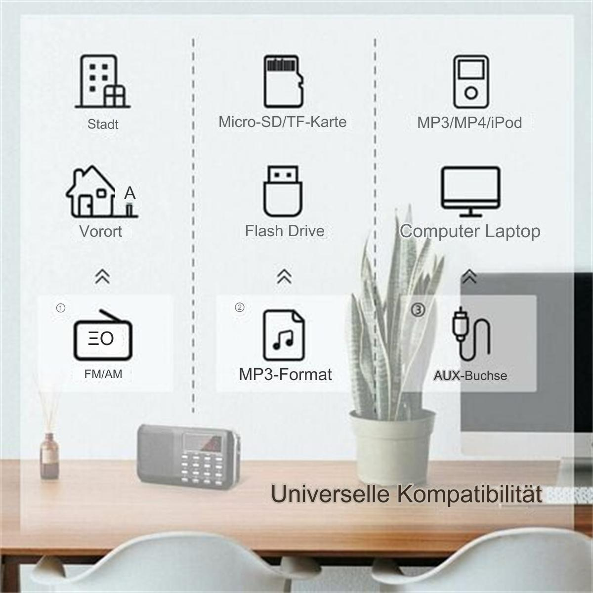 Diagramm mit Medien-Eingangsoptionen, einschließlich FM/AM, Micro-SD, USB und Laptop.