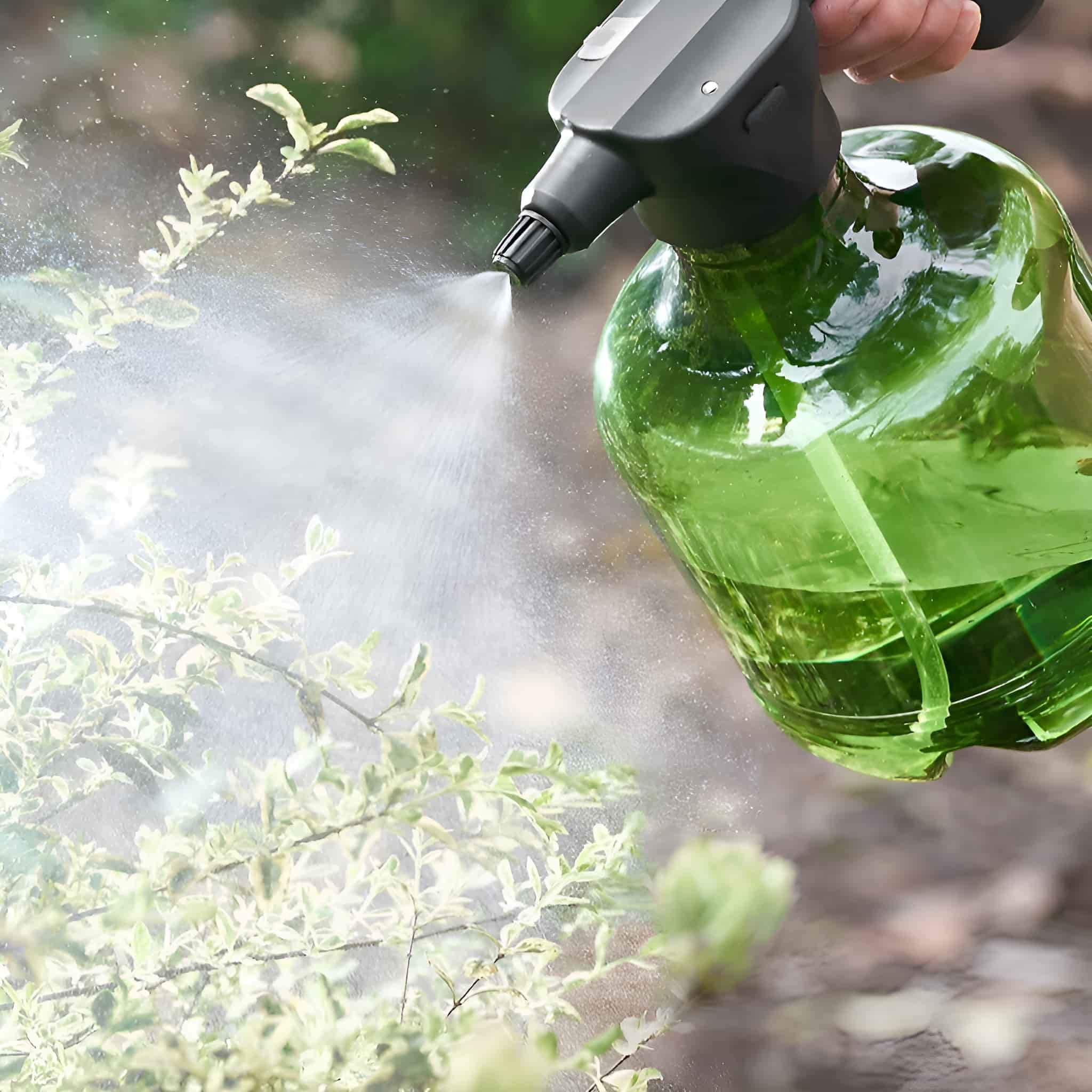 Sprühen von Wasser auf Pflanzen mit einer grünen Flasche. Verschwommener Hintergrund, grüne Pflanzen.