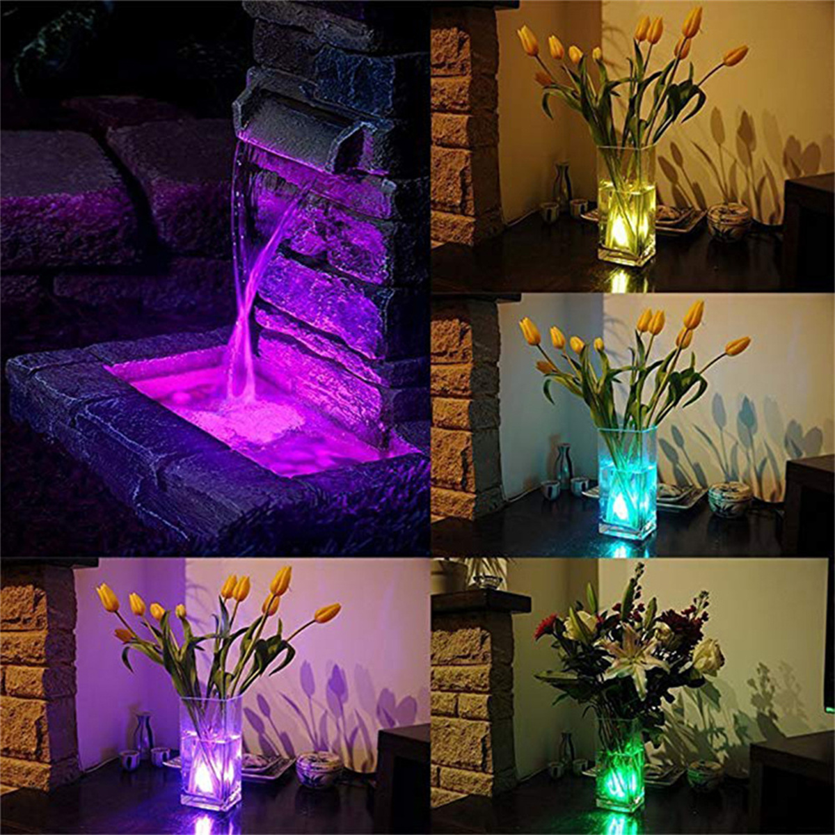 Vier Bilder von Blumen mit unterschiedlich farbigen Lichtern. Ein Springbrunnen mit violettem Licht.
