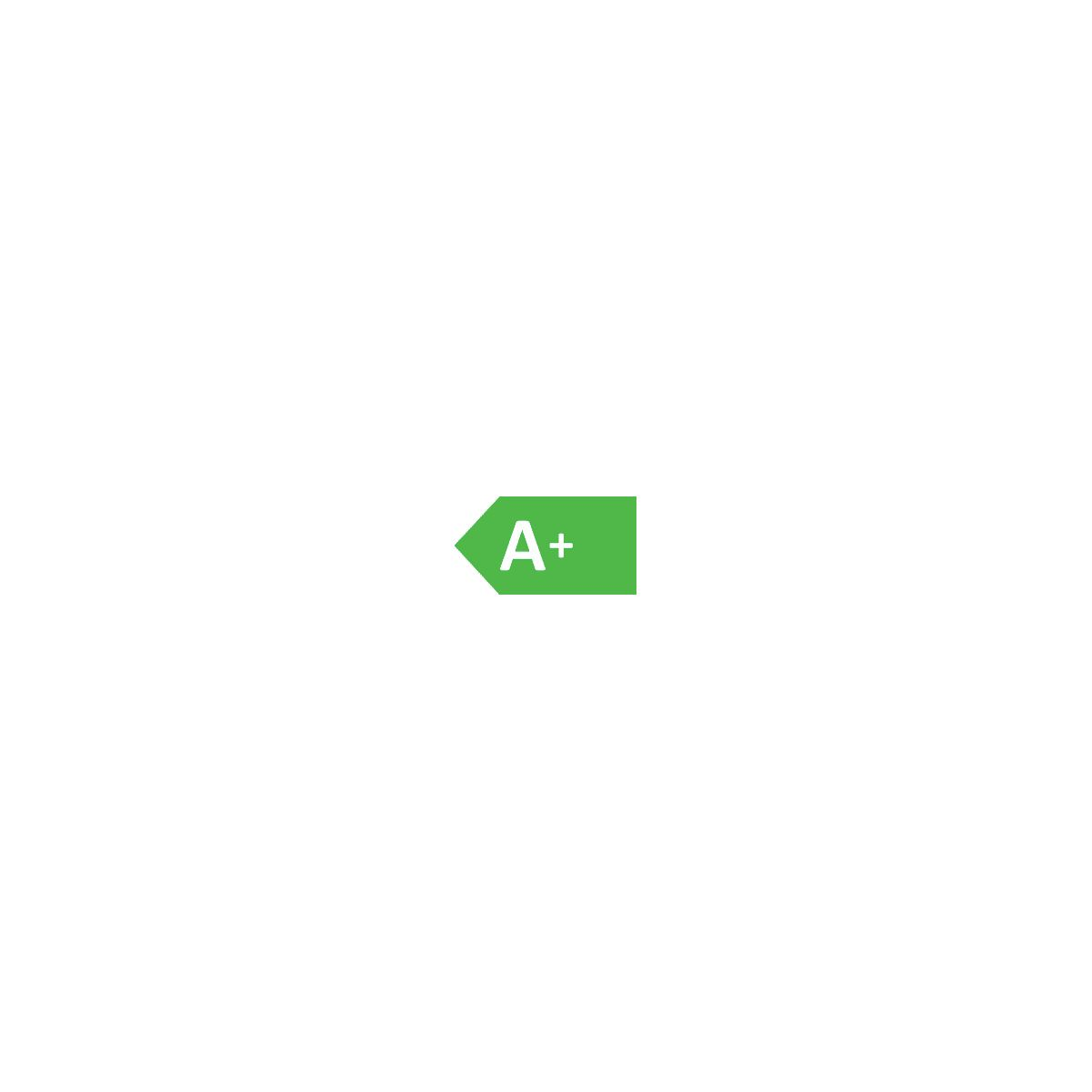 Un'etichetta di efficienza energetica A+ in verde su sfondo bianco.