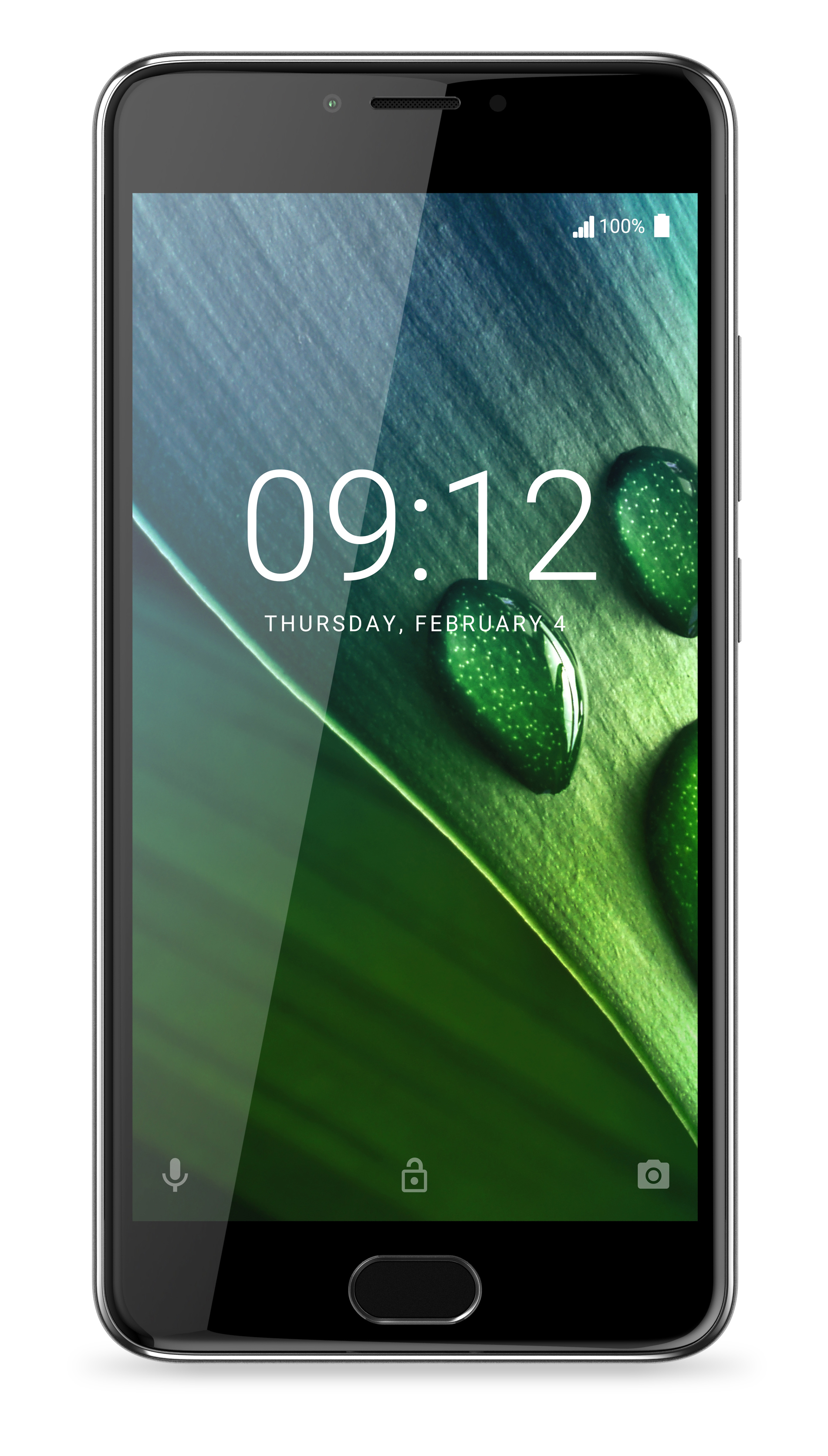 Schwarzes Smartphone mit grünem Blattdesign auf dem Bildschirm. Weißer Hintergrund.