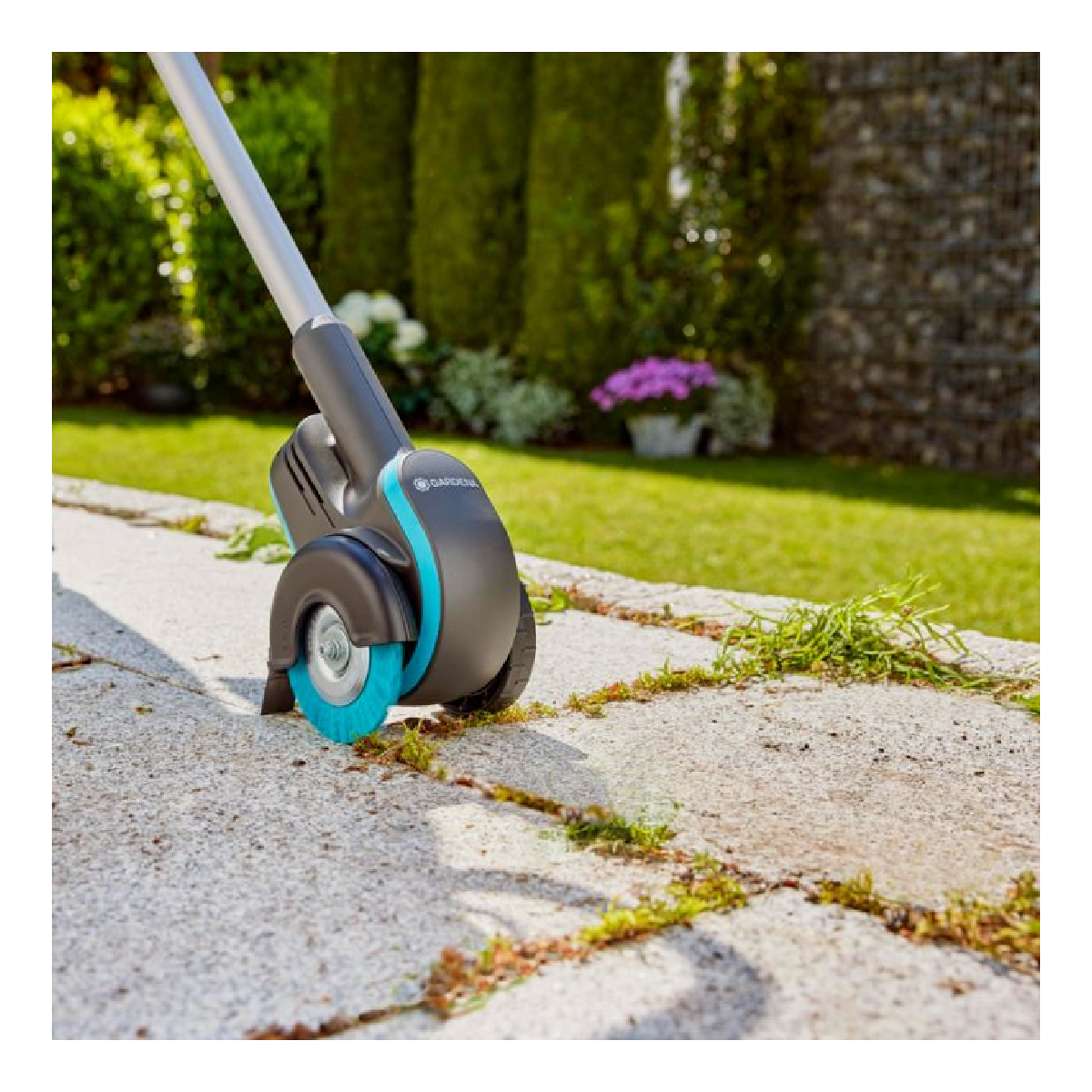 Edging tool on paved surface. Gray handle, blue wheel, green grass.