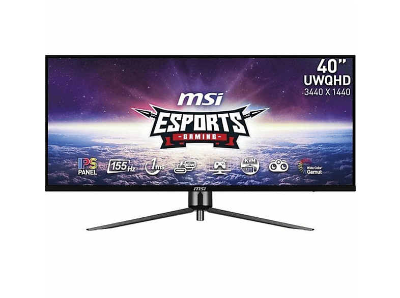 MSI MAG401QR 40 inç UWQHD 1 ms 60 Hz Gaming Monitör Siyah