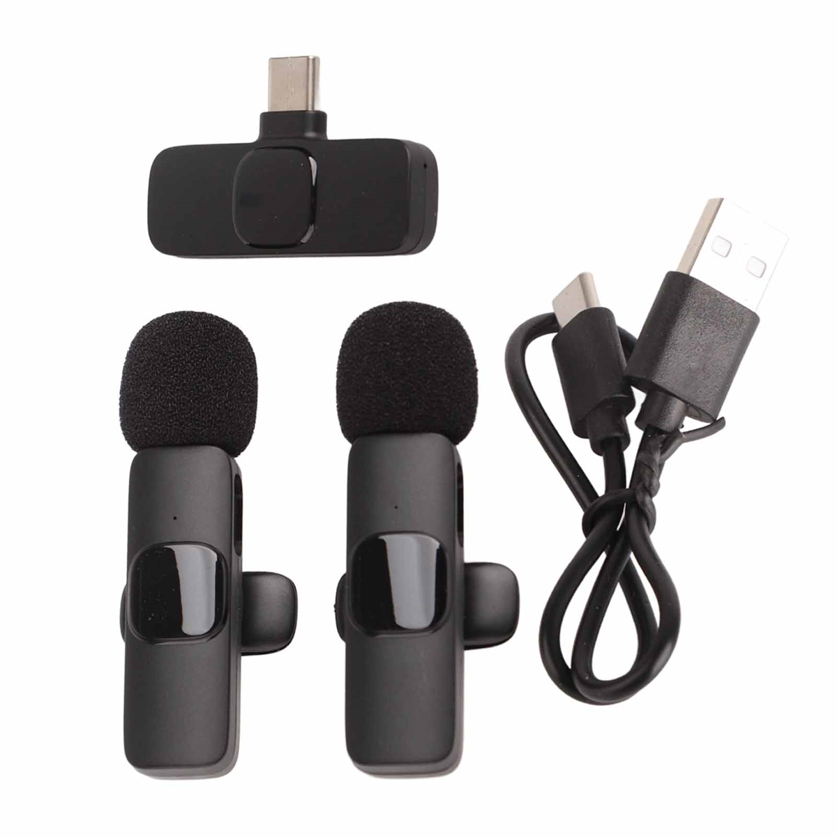 Zwei kleine schwarze Mikrofone und ein USB-Kabel.