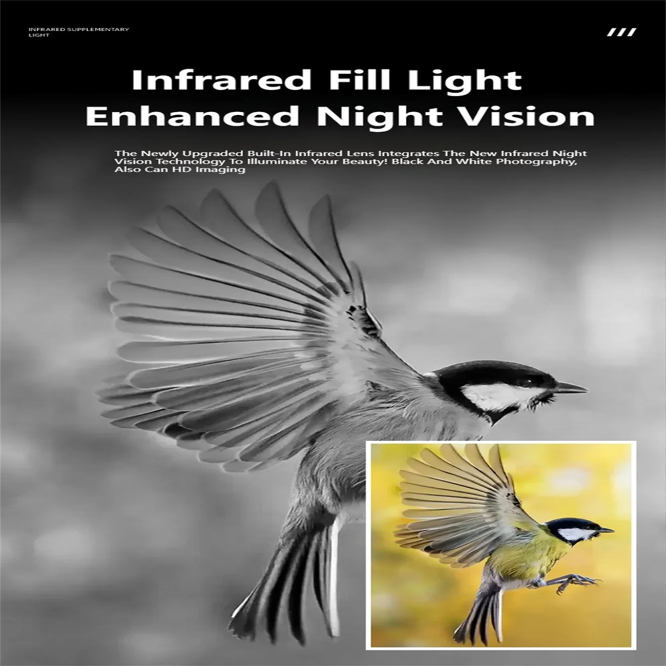 Ptak w locie z rozpostartymi skrzydłami. Nakładka tekstowa: Światło wypełniające w podczerwieni Ulepszona wizja nocna.