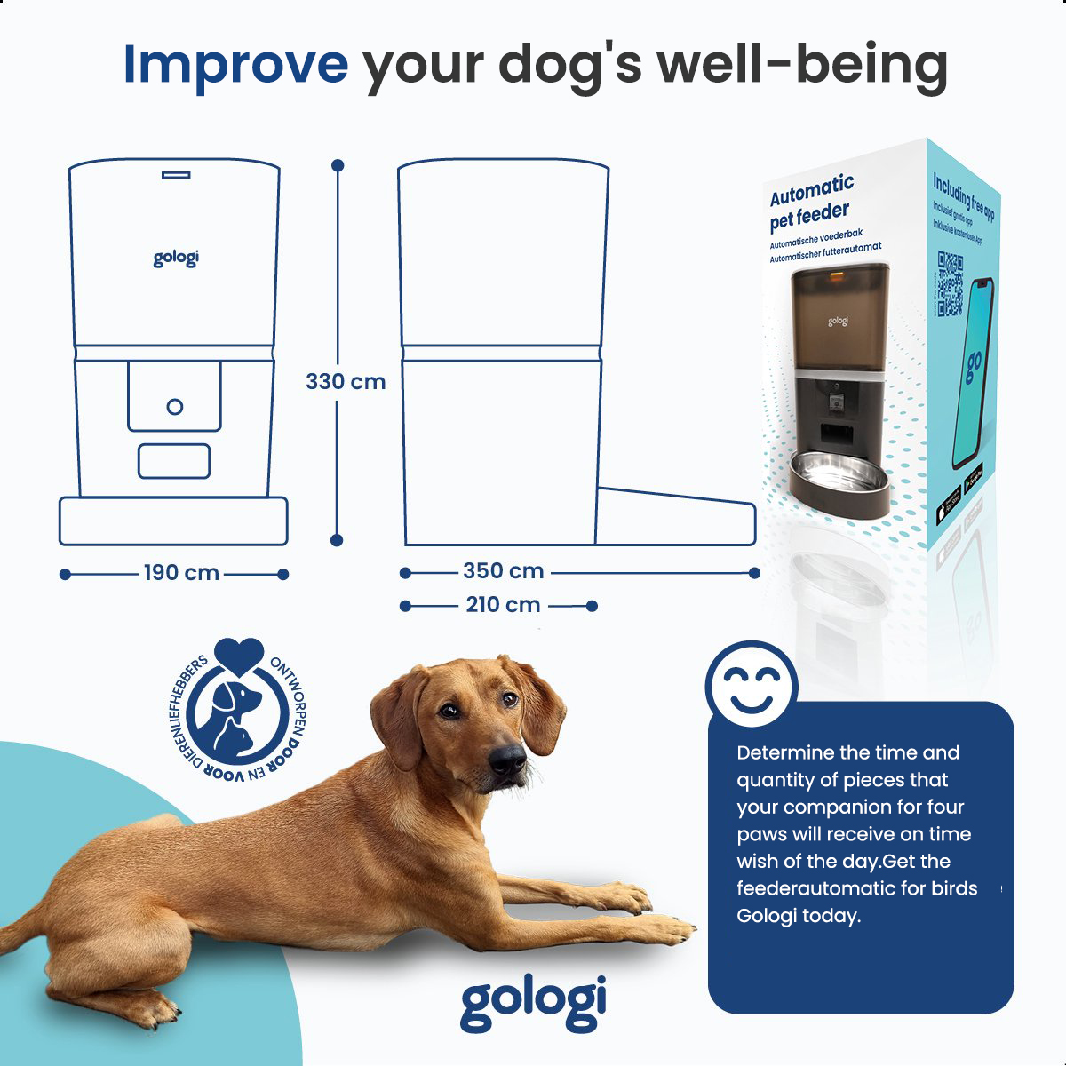 A dog and a pet feeder are displayed with text. The dog is brown and lying down.