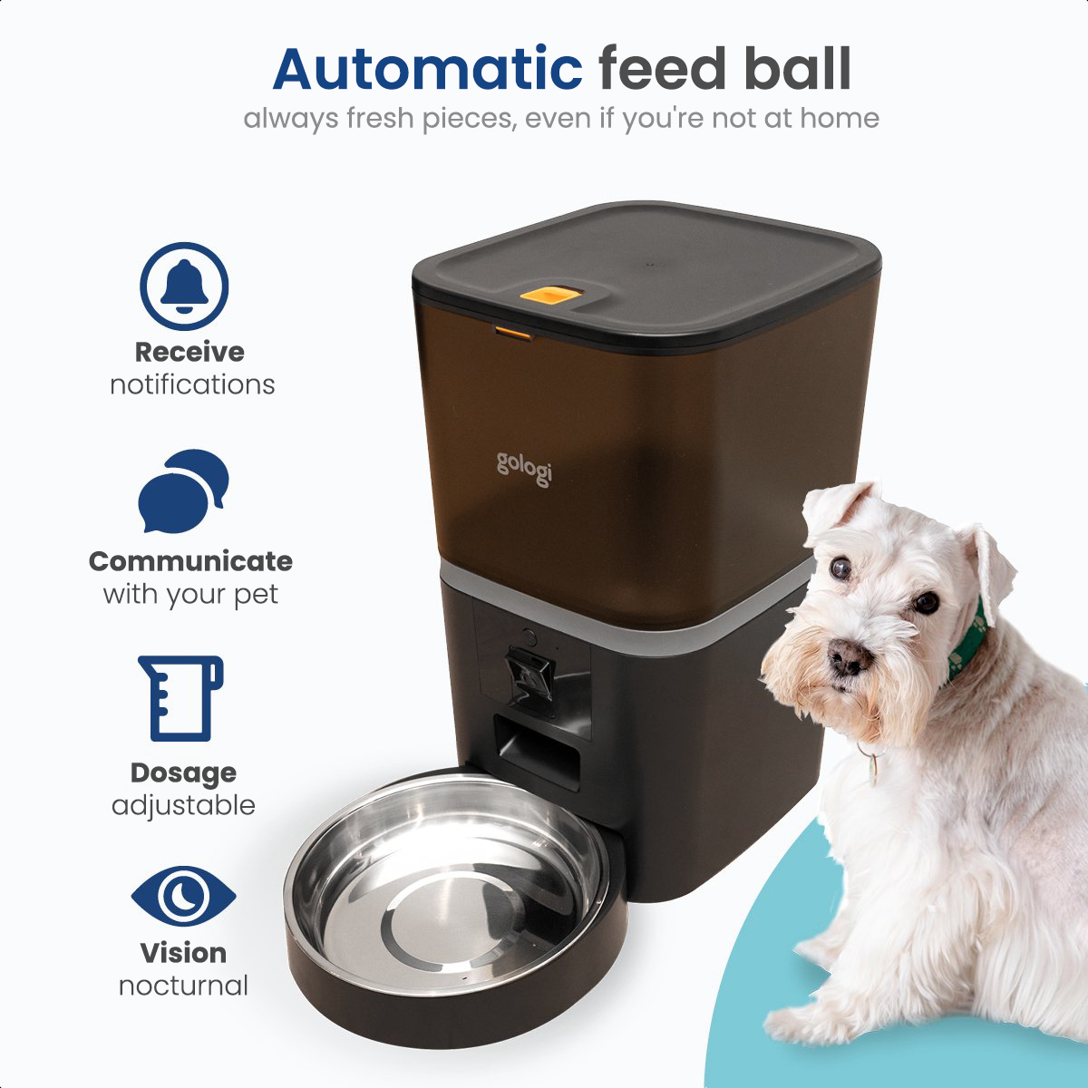 Automatic pet feeder with a dog and informational icons, promoting automatic feeding features.