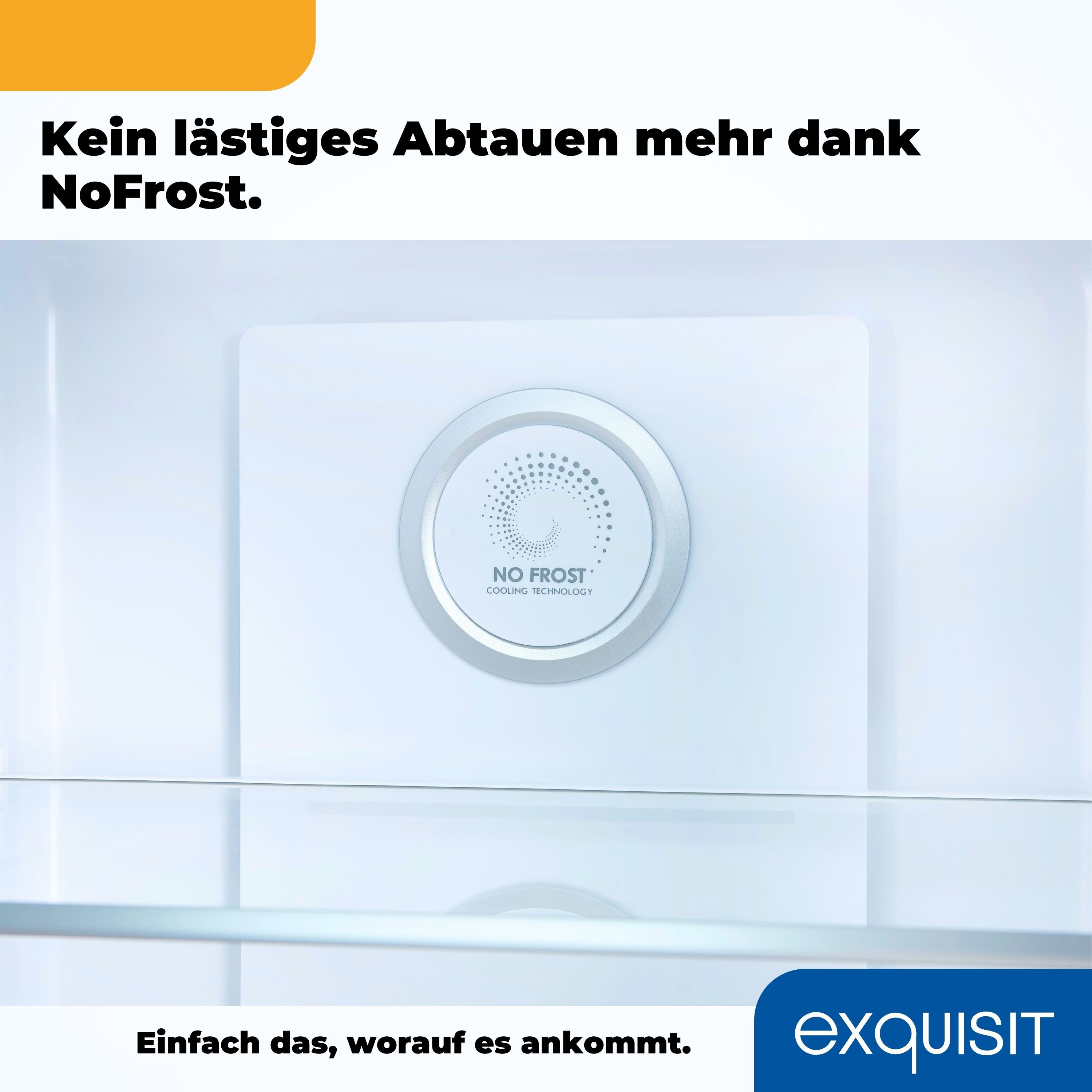 Kühlschrankinnenansicht mit einem NO FROST-System mit silberner Blende und Markenlogo.