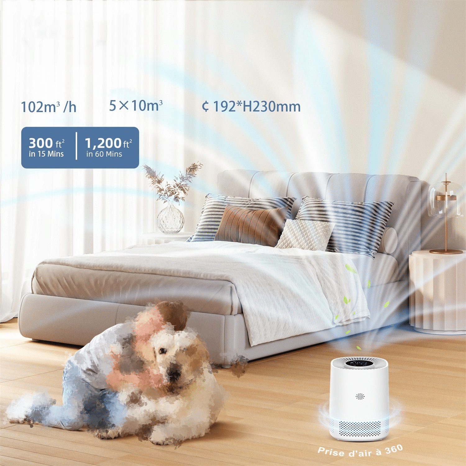 Schlafzimmer mit Bett und Luftreiniger. Eine Person und ein Hund sind im Vordergrund.