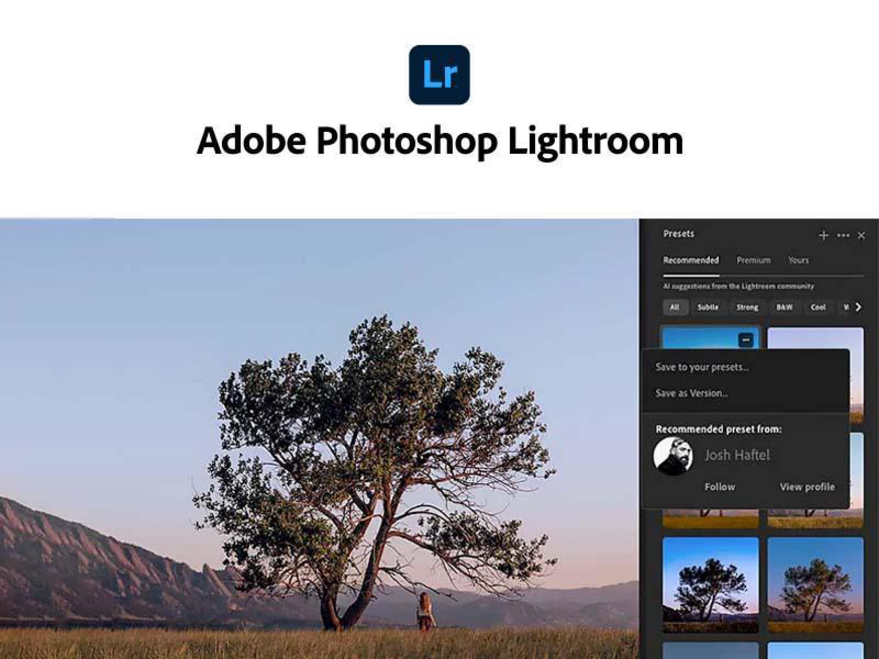 Interfaccia di Adobe Lightroom. Un albero in un campo, una donna sullo sfondo e un menu a destra.