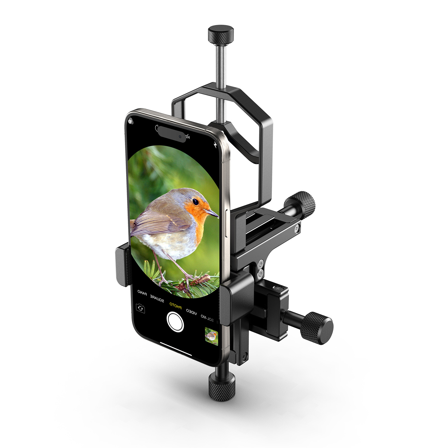 Ein Telefon, das an einer Halterung befestigt ist, zeigt ein Rotkehlchen. Die Halterung hat Knöpfe und steht auf weißem Untergrund.
