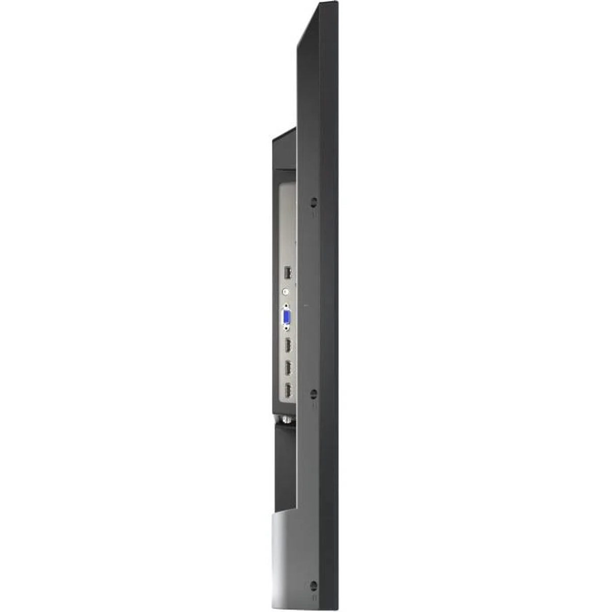 Seitenansicht eines dünnen, schwarzen Monitors. Mehrere Anschlüsse sind auf der Rückseite sichtbar.