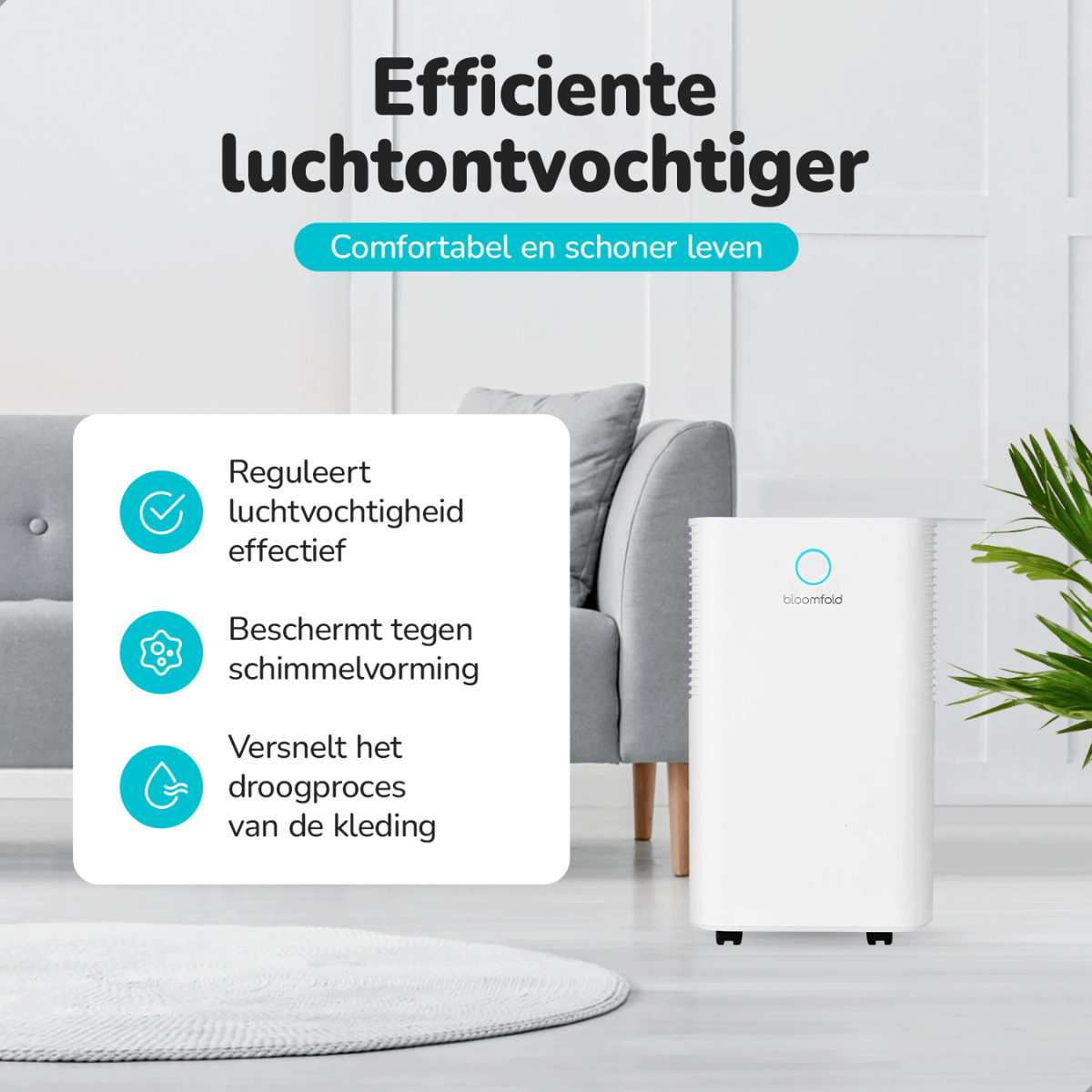 Ein weißer Luftentfeuchter mit einem weißen runden Teppich. Text über Luftfeuchtigkeit, Schimmelschutz und Trocknung.