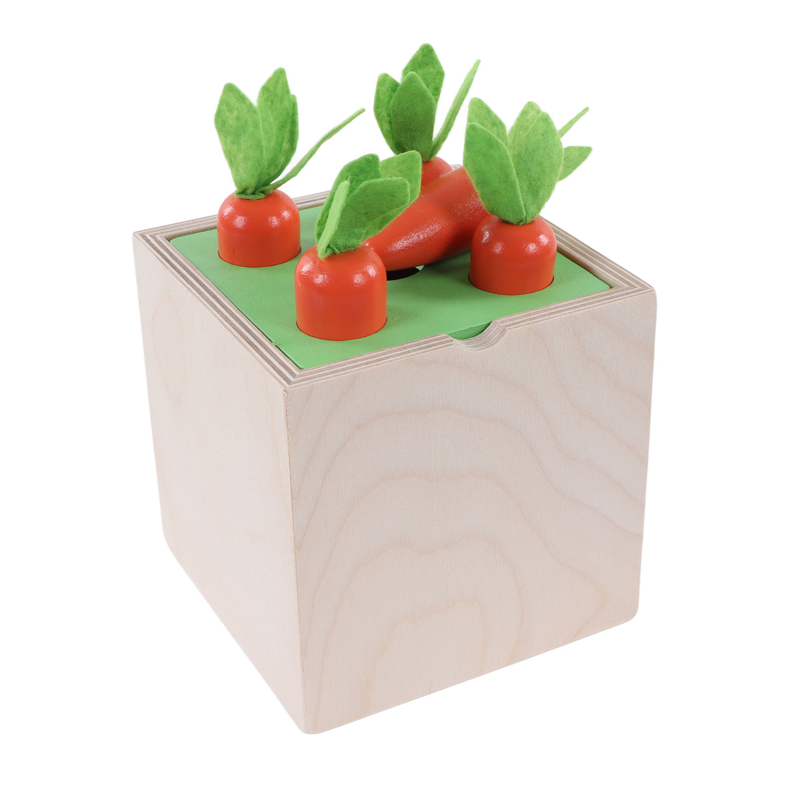 Holzkiste mit Karotten: Vier Karottenspitzen mit einer einzelnen Karotte. Grünes Gras auf der Oberseite der Box.