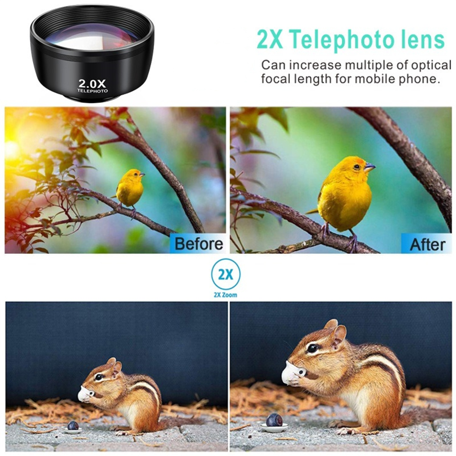 Teleobjektiv mit Vorher-Nachher-Aufnahmen. Vögel und Streifenhörnchen sind abgebildet.